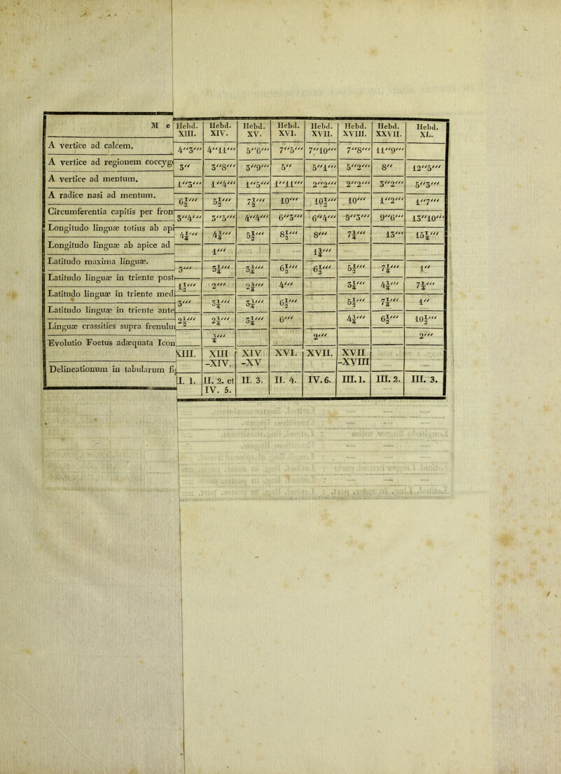 A vertice ad calcem. A vertice ad regionem coccjg( A vertice ad mentum. A radice nasi ad mentum. Circumferentia capitis per fron^ Longitudo linguae totius ab api- Longitudo linguae ab apice ad Latitudo maxima linguae. Latitudo linguae in triente post(— Latitudo linguae in triente med Latitudo linguae in triente ante Linguae crassities supra frenuluij ^ Evolutio Foetus adaequata Iconi Delineationum in tabularum fi; XIII. XIV. XV. XVI. XVII. XVIII. XXVII. Hebd. XL. 4ii' 56' 75' 7//g/// ' 3'' 3//g/// 59' 5 5//q/// 8 123' 4 4' 16' 4'^44 2 2' 32' 53' Kl' '7l4// ' 5 iO' 10|' 10' 12' J 5^' 44' 63' 64' 53' 96' 1310' i i 41' 1 H' 5i' 8^' 8' 7J' 13' 15^' J ■ q/// • - . J g/v/ - f. 171/ ^4 ei' er' 5|' .. 7 I /// '3: i u A 2' ■^5 4' rriy/y 4|' li - 3' P — ^4 73/// ei' 5|' 7!/// '5 1 — u 2 93/// izl /// G' 4|' 6i-' 10|' 1. 9/y/ 2' U' ■3: ■ ■■ Kiii7 XIII XI Vi -XV XVI; XVII. XVII -XVIII - i 1 i<l -XIV. jj I. 1. II. 2. et IV. 5. II. 3. II. 4. IV. 6. III.1. III. 2. III. 3. /