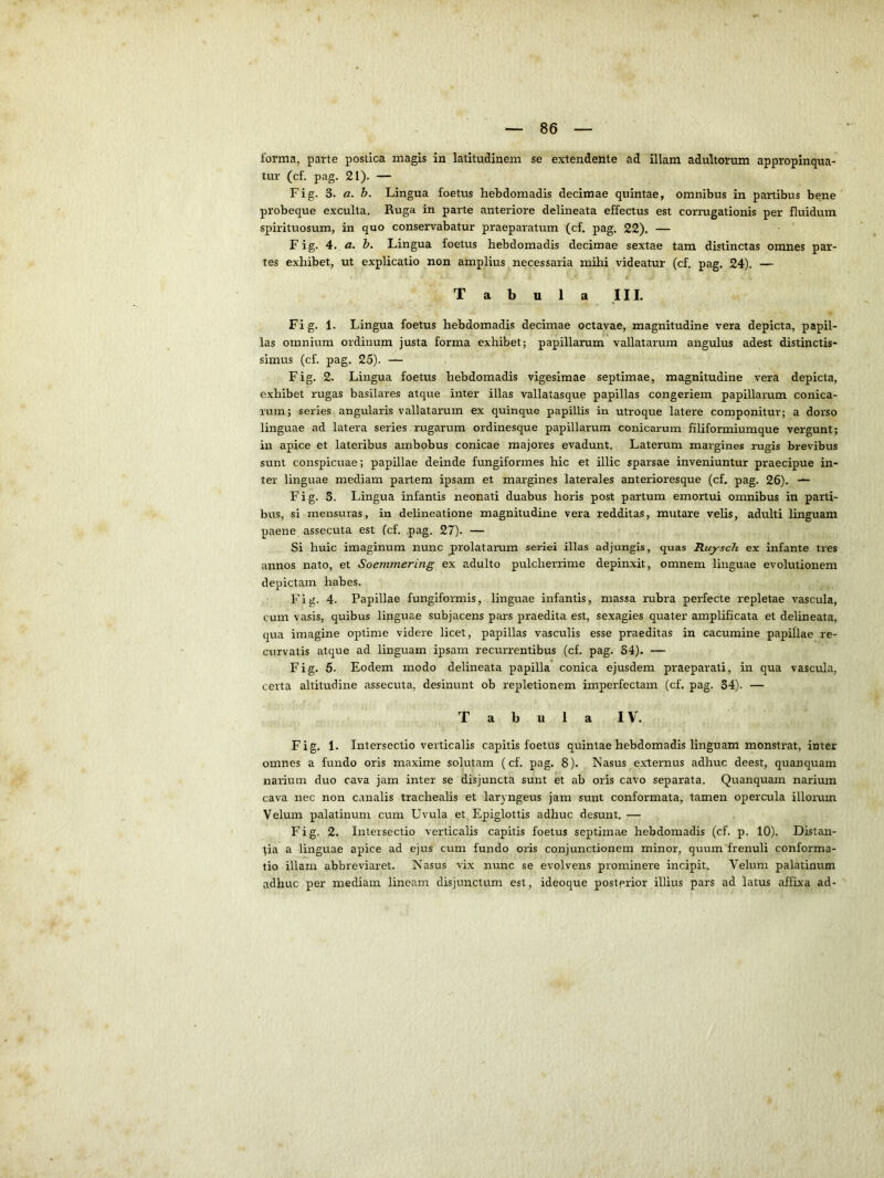 forma, parte postica magis in latitudinem se extendente ad illam adultorum appropinqua- tur (cf. pag. 21). — Fig. 3. a. h. Lingua foetus hebdomadis decimae quintae, omnibus in partibus bene probeque exculta. Ruga in parte anteriore delineata effectus est corrugationis per fluidum spirituosum, in quo conservabatur praeparatum (cf. pag. 22). — Fig. 4. a. h. Lingua foetus hebdomadis decimae sextae tam distinctas omnes par- tes exhibet, ut explicatio non amplius necessaria mihi videatur (cf. pag. 24). — Tabula III. Fig. 1. Lingua foetus hebdomadis decimae octavae, magnitudine vera depicta, papil- las omnium ordinum justa forma exhibet; papillarum vallatarum angulus adest distinctis- simus (cf. pag. 25). — Fig. 2. Lingua foetus hebdomadis vigesimae septimae, magnitudine vera depicta, exhibet rugas basilares atque inter illas vallatasque papillas congeriem papillarum conica- rum; series angularis vallatarum ex quinque papillis in utroque latere componitur; a dorso linguae ad latera series rugarum ordinesque papillarum conicarum filiformiumque vergunt; in apice et lateribus ambobus conicae majores evadunt. Laterum margines rugis brevibus sunt conspicuae; papillae deinde fungiformes hic et illic sparsae inveniuntur praecipue in- ter linguae mediam partem ipsam et margines laterales anterioresque (cf. pag. 26). — Fig. S. Lingua infantis neonati duabus horis post partum emortui omnibus in parti- bus, si mensuras, in delineatione magnitudine vera redditas, mutare velis, adulti linguam paene assecuta est (cf. pag. 27). — Si huic imaginum nunc prolatamm seriei illas adjungis, quas Ruysch ex infante tres annos nato, et Soemmering ex adulto pulcherrime depinxit, omnem linguae evolutionem depictam habes. Fig. 4. Papillae fungiformis, linguae infantis, massa rubra perfecte repletae vascula, cum vasis, quibus linguae subjacens pars praedita est, sexagies quater amplificata et delineata, qua imagine optime videre licet, papillas vasculis esse praeditas in cacumine papillae re- curvatis atque ad linguam ipsam recurrentibus (cf. pag. 34). — Fig. 5. Eodem modo delineata papilla conica ejusdem praeparati, in qua vascula, certa altitudine assecuta, desinunt ob repletionem imperfectam (cf. pag. 34). — Tabula IV. Fig. 1. Intersectio verticalis capitis foetus quintae hebdomadis linguam monstrat, inter omnes a fundo oris maxime solutam (cf. pag. 8). Nasus externus adhuc deest, quanquam narium duo cava jam inter se disjuncta sunt et ab oris cavo separata. Quanquam narium cava nec non canalis trachealis et laryngeus jam sunt conformata, tamen opercula illorum Velum palatinum cum Uvula et Epiglottis adhuc desunt. — Fig. 2. Intersectio verticalis capitis foetus septimae hebdomadis (cf. p. 10). Distan- tia a linguae apice ad ejus cum fundo oris conjunctionem minor, quum'frenuli conforma- tio illam abbreviaret. Nasus vix nunc se evolvens prominere incipit. Velum palatinum adhuc per mediam lineam disjunctum est, ideoque posterior illius pars ad latus affixa ad-