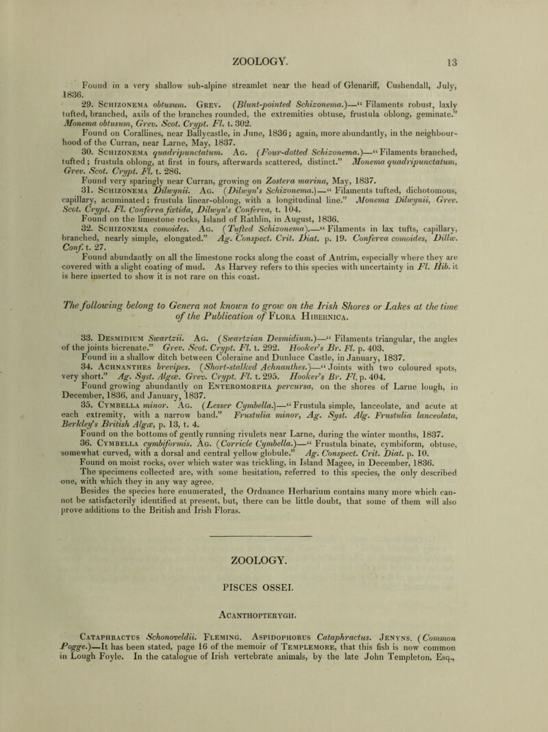 Found in a very shallow sub-alpine streamlet near the head of Glenariff, Cushendall, July, 1836. 29. Schizonema obtusum. Grev. (Blunt-pointed Schizonema.)—“ Filaments robust, laxly tufted, branched, axils of the branches rounded, the extremities obtuse, frustula oblong, geminate.” Monema obtusum, Grev. Scot. Crypt. Fl. t. 302. Found on Corallines, near Ballycastle, in June, 1836; again, more abundantly, in the neighbour- hood of the Curran, near Larne, May, 1837. 30. Schizonema quadripunctatum. Ag. (Four-dotted Schizonema.)—“ F'ilaments branched, tufted; frustula oblong, at first in fours, afterwards scattered, distinct.” Monema quadripunctatum, Grev. Scot. Crypt. FI. t. 286. Found very sparingly near Curran, growing on Zostera marina, May, 1837. 31. Schizonema Filwynii. Ag. (Filwyn’s Schizonema.)—“ Filaments tufted, dichotomous, capillary, acuminated; frustula linear-oblong, with a longitudinal line.” Monema Dilwynii, Grev. Scot. Crypt. FI. Conferva fcetida, Filwyn’s Conferva, t. 104. Found on the limestone rocks, Island of Rathlin, in August, 1836. 32. Schizonema comoides. Ag. (Tufted Schizonema).—“Filaments in lax tufts, capillary, branched, nearly simple, elongated.” Ag. Conspect. Crit. Fiat. p. 19. Conferva comoides, Fillw. Conf. t. 27. Found abundantly on all the limestone rocks along the coast of Antrim, especially where they are covered with a slight coating of mud. As Harvey refers to this species with uncertainty in FI. Hib. it is here inserted to show it is not rare on this coast. The following belong to Genera not knoivn to groiv on the Irish Shores or Lakes at the time of the Publication of Flora Hibernica. 33. Desmidium Swartzii. Ag. (Swartzian Desmidium.)—“ Filaments triangular, the angles of the joints bicrenate.” Grev. Scot. Crypt. FI. t. 292. Hooker’s Br. Fl. p. 403. Found in a shallow ditch between Coleraine and Dunluce Castle, in January, 1837. 34. Achnanthes brevipes. (Short-stalked Achnanthes.)—“ Joints with two coloured spots, very short.” Ag. Syst. Algoe. Grev. Crypt. Fl. t. 295. Hooker’s Br. Fl. p. 404. Found growing abundantly on Enteromorpha percursa, on the shores of Larne lough, in December, 1836, and January, 1837. 35. Cymbella mmor. Ag. (Lesser Cymbella.)—“ Frustula simple, lanceolate, and acute at each extremity, with a narrow band.” Frustulia minor, Ag. Syst. Alg. Frustulia lanceolata, Berkleys British Algce, p. 13, t. 4. Found on the bottoms of gently running rivulets near Larne, during the winter months, 1837. 36. Cymbella cymbiformis. Ag. (Corricle Cymbella.)—“ Frustula binate, cymbiform, obtuse, somewhat curved, with a dorsal and central yellow globule.” Ag. Conspect. Crit. Diat. p. 10. Found on moist rocks, over which water was trickling, in Island Magee, in December, 1836. The specimens collected are, with some hesitation, referred to this species, the only described one, with which they in any way agree. Besides the species here enumerated, the Ordnance Herbarium contains many more which can- not be satisfactorily identified at present, but, there can be little doubt, that some of them will also prove additions to the British and Irish Floras. ZOOLOGY. PISCES OSSEI. ACANTHOPTERYGir. Cataphractus Schonoveldii. Fleming. Aspidophorus Cataphractus. Jenyns. (Common Pogge.)—It has been stated, page 16 of the memoir of Templemore, that this fish is now common in Lough Foyle. In the catalogue of Irish vertebrate animals, by the late John Templeton, Esq.,