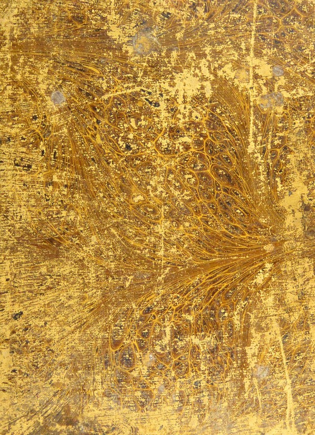 No text description is available for this image