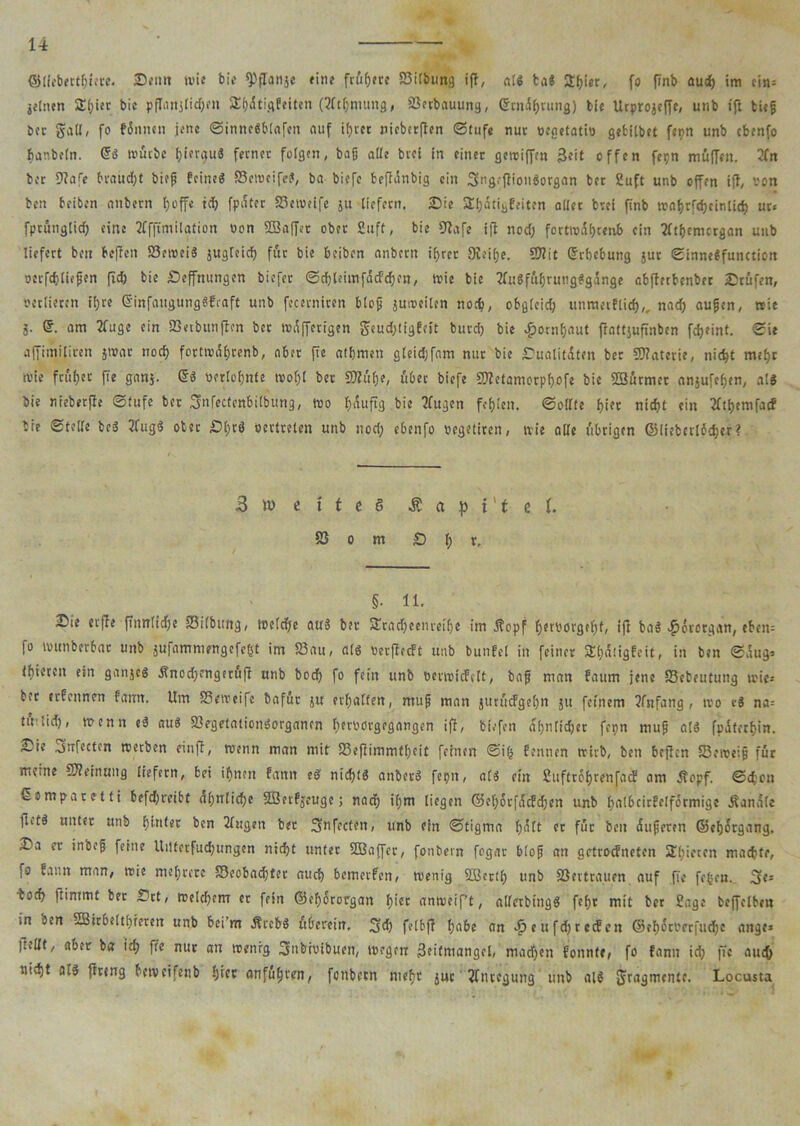 ©liebertfiiere. Senn wie bie ^flanje fine frühere 23irbu«3 ifl, nie fca« 2f)ier, fo finb aud) im ein; jeincn Sliier bie pflanjlidjm SEfjdti.qfeiten (2(t(;mung, Sctbauung, Grrnäljtung) bie Urprojeffe, unb tfl biep bei- gall, fo binnen jene ©inneSblafen auf ifjter nicberflen ©tufe nur pegetatio gefcilbet fepn unb cbenfo banbcln. Gr« würbe f)ier<?uS ferner folgen, baß alle brei in einer gewiffen 3fit offen fepn muffen. 2(n ber 9lafe braucht biep feine« 23eroeifeS, ba biefe beflanbig ein SngeftionSorgan ber Suft unb offen ifl, von ben beiben anbern l;offe id) fpüter 85eweife }U liefern. Sie Sfjätijjbeiten aller brei finb wni)rfd)cinlid) ur< fpcütiglid; eine tfffimilation von ©affet ober Suff, bie fjfafe ifl nod; fortroäf)tenb ein Sftijemcrgan unb liefert ben beffen S3ewei« jugteid) für bie beiben anbern if>rer 9Jeii)e. SJitt Erhebung jur ©inneSfunction ocrfdjtiepen fid; bie Seffnungen biefer ©ci)ieimfücfdf)cn, wie bie SfuSfüfjrungSgange abffetbenber Stufen, verlieren fl)re SinfaugungSfraft unb fc.cerniren blop juweiten no$, obg(cid) unnmflid;,, nad) aupen, wie 5. ©. am 2fuge ein Söetbunflen ber wüfferigen geud;tigfeit burd; bie £ornf)out ftattjufinben fd)eint. ©ie affimiliren jwar nod) fortwüijtenb, aber ffe atbmen gleic&fam nur bie Qualitäten ber ©aterie, nic^t m<f)t wie früher ffe ganj. (5« pertofjnte wo()I bet ©ü(;e, über biefe ©etamorpljofe bie ©ürmer anjufefjen, als bie nieberffe ©tufe ber Snfectcnbiibung, wo l;auftg bie Sfugen fehlen. ©ollte f>tec nid)t ein 2ftt>enifacf tie ©teile be« 2fug$ ober £)t;cS oertreten unb nod; ebenfo »egetiren, wie alle übrigen ©liebcrlfdjer? B J» e t t e S i? a p t’t c I. 83 0 m S i; r. §• 11. Sie erffe ffnniid;e Silbitng, weiche au« ber SErädjeenveifje im Äopf f;erPorgel;f, ifl ba« ^örotgan, eben; fo wunberbat unb jufammengefegt im Sau, aiö perfieebt unb bunfel in feiner SEijütigfcit, in ben ©aug* (liieren ein ganje« Änod;engeruff unb bod; fo fein unb verwirbelt, bap man bäum jene Sebeutung wies ber erbennen bann. Um Seweife bafür ju erhalten, mup man jUrücbgefjn ju feinem ?fnfang , wo e« na= tti'iid), wenn e« au« SegetationSorgancn t;erporgegangen ifl, biefen aijntidjer fcpn mup at« fpüterf)in. Sie jnfectcn werben einft, wenn man mit 23eflimmtl;eit feinen ©ifs fennen wirb, ben befien Seweip für meine Meinung liefern, bei if>ncn bann eS nid)t« anber« fepit, ai« ein Suftrofjrenfacb am Äopf. ©eben ßsmparetti befd;reibt <il;nlicf)e ©erzeuge; naa; if;m liegen ®et;6tfücbdjen unb fiaibcirbelformige Äanale llit« unter unb f)infer ben 21ugen bet Snfecten, unb ein ©tigma (;Alt er für ben äuperen ©cljorgang. Sa er inbep feine UiHetfudjungen ntdjt unter ©affet, fonbern fogat blop an getroebneten 2!(;ieccn machte, fo bann man, wie mehrere Seobacfjter aucf) bemerfen, wenig ©etti; unb SSertra.uen auf ffe fefen. 3t* tod) ftimmt bet Srt, welchem er fein ©efyororgan i)icr anweif’t, atlerbing« fei)t mit ber Sage teffeiben in ben ©itbe(t()feten unb bei’m ÄrcbS überein, Sd; feibff habe an *£> e u fd; r cif eit ©ei)otPrrfud)c ange» jreöt, aber ba id; ffe nur an wenig Snbioibuen, wegen Zeitmangel, machen fonnte, fo bann id; ffe aud; nidjt al« flreng betveifenb !)ier andren, fonbetn meb;r jur Anregung unb al« Fragmente. Lpcusta