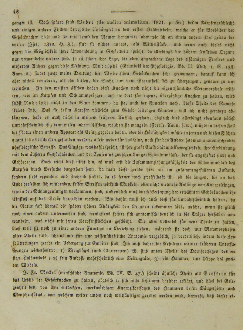 V gangen iff- fab ®«ber (de auditu animalium. 1821. p. 56.) hei’m jtarpffngefd)!fd)t unb einigen anbern gifdten 6eivcüUcf>e 2fnhdrtgf«t an ben rrfien Jpal«roitbeln, tt>e!d>e er für 93orbilbrc btt @ct)5vfnrd)cn unb fie mit bemfelbcit Flamen benannt«; aber wie id> an einem anbern Drt genau be* Wiefett (Sp«, 182a. -£>. 8)/ ffnb fie nid)t« nnber«, al« SSirhelflücfe, unb wenn aud) biefe« nicht gegen btc 9J?6glid)?eit ihrer UmitanMuttg in ©ef)6rtl?cüc fpridjt, ba allcrbing« bie hdh*m fenfitioen Drgarc nur vertvanbelte niebete ffnb, fo ift fd)«n i()re Sage, bie oben angegebene Sage be« eiförmigen Ziffer« unb mehrere« 2fnbcte gegen biefe SWeinung. SHubolphi (©runbrig ber fPhpfiologie, 93b. II. 2fbtf). 1. ©. 138- 2Inm. 2.) finbet jtvar meine Deutung ber 5Beberfd)en ©efyStfnodjen feljr gegwungen, barauf fann ich aber nicht« ertriebern, al« ihn bitten, bie ©ad)«, um »cm ©egentheil ffd) ju übergeugen, genauer gii un= terfud)cn. 3n ben meifien gifchen haben biefe Änod)?n nod) nid)t bie eigenthümliche SSftetamorphofe erlit» ten, toi« im .Karpfen unb ©djlammpeifsger, unb fie borc für eigene, ubctjäf)ligc .Knochen ju galten, wirb felbfl JRubotphi nicht in ben ©inn Eommen, ba fie, auch ber gunction nad), biofe 2f)eile be« 9?umpf» ffclel« finb. Dag fie bci’m Karpfen vielleicht gum ®el)dr beitragen fönnten, tritt id) nicht genbegu ab» idugnen, habe e« aud) nid)t in meinem früheren 2(uffa(s gefban, obgleich bieg atterbing« ebenfaü« f>od>fr unroahrfcheinlid) ifl; bentt cielen anbern gifchen, trcldjen fie mangeln (gorette, Äat u. f. n>.), mügte in biefem galt bie 9?atur einen anbern Apparat al« Grfajj gegeben heben, ober bie £orfd()igfeit mügte in jenen unb biefen gifchen quantitativ verfdtieben gefunben werben; allein Weber für ba« ©ine, nod) für ba« 2(nbere hat man anatomifdje ober ph9fiolo9'Wc Semeife. DaöGingige, roa«bafürfpricht, ifl ihre grogeStajltcitdtunbSetregtichfeit, il)re23etbinbung mit bem dugeren ®ef)6rbld«d)en unb ber Gonfcnfu« gwifchen Sunge (©d)irimmb(afe, bet fie angeheftet ftnb) unb ©ehirotgan. Doch reicht bieg nicht hin, e« mug erfl bie 3ufammeRgiehung«fd()igfcit ber ©d)trimmb(afe be« Karpfen butd) SSerfud)« barget()an feptt, ba man biefe gerabe h'tec nie im gufammengefallenen gufianb, fenbern flet« eppanbict unb flcofcenb ftnbet, ba e« ferner nod) gwcifelhaft ifl, ob bie langen, bi« an ba« Gnbe berfelben (ich tvinbenben, feflen ©(reifen trirftich 9Wu«fe[n, ober nicht vielmehr Anfänge von Knorpeltfngcn, tvie in ben ©chlangentungen votfommen, finb, unb enblid) mug butd) 23erle($ung ber erwdhntcn ©e-hoiEnechen ihr Ginflug auf ba« ©ehSt bargethan tvetben. 93t« bahin mug id) aud) bieg für untvahrfcheinlid) hatten, ba bie 9?atur fafl überall bie fpdtere höhere »Ehdtigfeit ben Dtganen jufommen tagt, welche, trenn fte gleich nod) einer anbern unterworfen ftnb, tvenigflen« fpdter jtd) anatomifd) beut(td) in bie SErdger berfelben um» »anbetn, tva« nid)t mit jenen Äarpfenflücfchen gefchieht. @ie aber vottenb« für neue 2f)eite gu hatten, btog weit fie nod) gu einer anbern gunction in SSegiehung flehen, tvdhrenb fie bod) nur SJietamorphefen alter Sheite finb, fcheint mit für eine wiffenfdjaftliche Anatomie vergeblich, ja verber6lich, inbem biefe j3tr* fplitterungen gerabe ein Uebetgang gut Gmpirie ftnb. 3d) mug baher bie SKefuItate meiner früheren Unterfu. jungen wieberf)olen: 1) ©teigbügel (unb Claustrum) ©. ffnb untere Steile be« Dornfortfa&c« bc« er* flen £al«wicbel«. j 2) fein 2fmbog, wahrfdieinlich eine ©eitengrdte; 3) fein Jammer, eine SKippe be« gmei. ten ÜBitbel«. 3. gt. Sflccfel (menfehtiche Anatomie, 58b. IV. @. 47.) fcheint dhnlichc arbeite al« ©eoffrop für ba« Urbilb ber ©ehdrfnochen gu halten, obgleid) er (ich nicht beflimmt barüber erEldrt, unb blog bei ©eie» genheit be«, von ihm «ntbeeften, merfwürbigen ^norpglfortfah«« be« Jammer« bei’m ©dugetfiicr» unb ®?enfd)enfotu«, von welchem weiter unten noch weitlduftigcr gerebet werben wirb, bemertt, bag biefer ei»