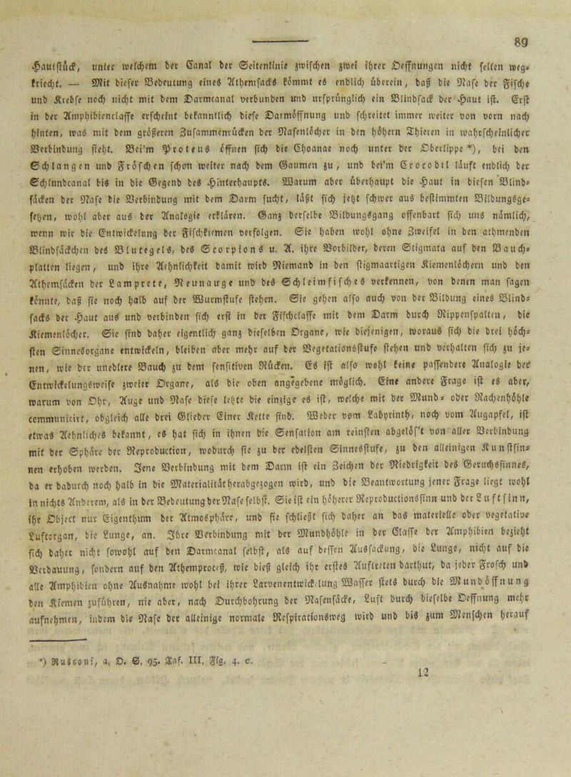 £autflfitf, unter wefdjem ber ©anal ber ©citenlinie jwifdien jwci ihrer Öffnungen nid)t fetfen weg* frird)t. — Mit tiefer SSebeutung eine« 2ftbentfacf« Pemmt «6 enblid) übereilt, bng bie Olafe ber gifdje unb Ärebfe ned) tiicf)t mit bem ©armcanal wrbunben unb utfprünglid) ein Sßlinbfacf ber $aut ifl. (Stfl in ber 2fmpl)ibienclaffe erfdjefnt befanntticf> birfc ©armäffnung unb fd)teitct immer weiter oon oorn nad) bluten, wa« mit bem grifrren jäufammentücfen brr SJlafenl6d)er in ben b)6t)crn SEbieten in tünfjcfdjftnlicfjpc Sßerbinbung Sßci’m sproteu« offnen fid) bie ©boanae nod) unter ber Öberlippc *), bei ben ©d)langen unb gräfdjen fefjart weiter nad) bem ©aumen ju , unb bei’m ßrocobil läuft enblid) bet ©d)tunbcanal bi« in bie ©egenb bc« ^»interbaupt«. ©acum aber überhaupt bie ^aut in biefen 93tinb* fäcfen ber Ü?afe bie Sßerbinbung mit bem ©arm fud)t, lügt fid) ie&t fc^trer au« beflimmten S3i!bung«ge= fefjen, trof)t aber au« bet Analogie etflärett. ©an} berfelbe ®ilbung«gang offenbart fid) un« ndmlid), trenn wir bie ©ntwicfelung ber gifcbfiemen verfolgen. Sie f)a6en wol)I ohne Snsoifcl in ben atbtnenbett S5linbfdcfd)en be« SSlutegel«, be« ©corpion« u. 21. ifjre böotbilber, bereit Stigmata auf ben Baud)» platten liegen, unb il;re 2(ebnlid)feit bamit wirb Olicmanb in ben fligmaartigen ifiemenl6d)crn unb ben 2ftfjemfä<fen ber Samprete, 9?eunauge unb be« ©d)leimf i fd) e« »erfennett, non benen man fagett tonnte, tag fie nod) ^olb auf ber ffiurmflufe fleben. ©ie geben alfo auch ron bet Bilbung eine« Blinb* faef« ber £aut au« unb retbinben fid) erfi in bet gifdjclaffe mit bem ©arm butc^ OJippenfpaltut, bie Jtiemenlodjer. ©ic ftnb baf)er eigentlid) ganj biefelben örgane, wie biejenigen, worau« fid) bie brei f)od)= ffen ©inncSorgane entwidcln, bleiben aber mehr auf ber Sßegetationöflufe flei)en unb »erhalten fid; ju je» nen, wie ber uneblere Baud) ju bem fenfitiren Olücfcn. ©« ifl alfo wel)t feine paffenbere Analogie bef ©ntwicfc(ung«weife jwetet ©rgarre, al« bie oben angegebene möglich, ©ine anbete gragc ifl e« aber, warum ron ©l)r, 2fuge unb Olafe biefe lebte bie einjige e« ifl, welche mit bet Munb» ober 9?ad)cnf)6f)fe ccmmuntcivt, obgleid) alle brei ©lieber ©inet Äotte finb. ©eher rom Sabprintf), noch rom Augapfel, ifl etwa« 2febnlid)e« befannt, c« bat fid) in ihnen bie ©enfalion am reinflen abgcläf’t ron aller Sßerbinbung mit ber ©pbäre ber Sleptobuction, woburd) fie ju ber ebelflen ©inne«flufe, ju ben alleinigen Jtunflfin* nen erhoben werben. Sene Sßerbinbung mit bem ©arm ifl ein 3eid)en ber Oliebrigfeit be« ©erttd)«finne«, ba er baburd) nod) l)alb in bie Materialität berabgejogen wirb, unb bie Beantwortung jener grage liegt wo&f innid)t« 2ftibetem, al« in ber Bebcutung ber Olafe felbfr. ©ietfl ein beeter SKeprobuctionöjinn unb ber 2 u ft f in n, {f,t Öbject nur Sigentbttm bet 2ftmo«pbärc, unb fie fcfjltcfjf fid) habet an ba« materielle ober öegefatiue Suftcrgan, bie Sunge, an. Sbre Sßerbinbung mit ber Munbböble in bet ©taffe ber 2fmpt)ibien bejiel)t fid) fcabec nicht fowobl auf ben ©atmcanal felbfl, al« auf beffen 2Cu«facEung, bie 2unge, nid)t auf bie Sßctbauung, fonbern auf ben lltbrmproccf, wie bieg glcid) ibt etfle« 2luflretett bartl)Ut, ba jeber grofd) unb alle 2fmpbibiett ol)«e tfuSnabme wobt bei ihrer SaroenentwicMung ©affet fiel« butcb bie Munbiffnung ben .Riemen jufübten, nie aber, nad) ©urd)bobtung ber Olafenfacfe, Suff burd) biefetbe Scffnung melir aufnebmen, inbem bie Olafe bet alleinige normale 5Rcfpiratfon«weg wirb unb bi« }um Mcn[d)tn b{Cl1uf ♦) SRuäconi, a, £>. S, 95- S£af. III, gig. 4. c. 12