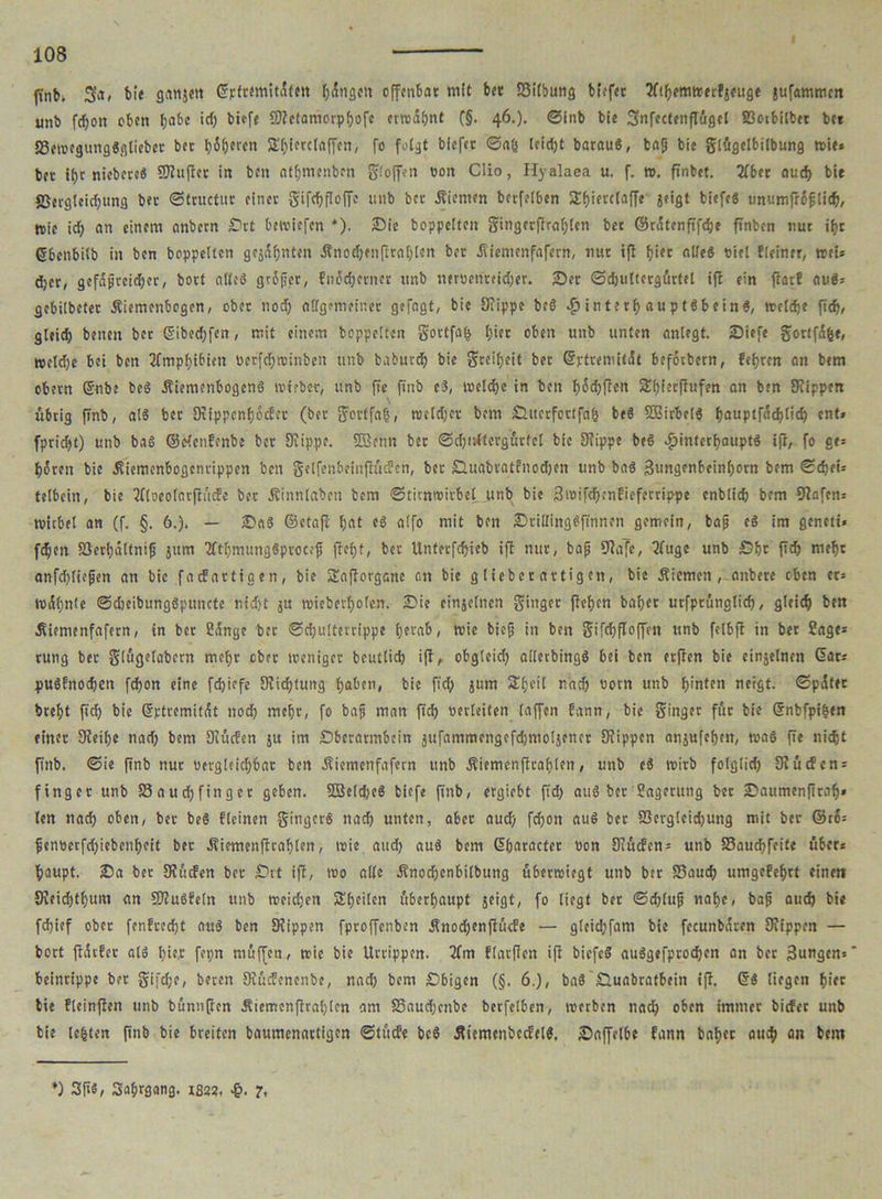 finb. Sa, bie gattjett Gpfrtmitäfett gingen offenbar mit ber SSifbung btefet Wthemwetfjeuge jufammcn unb fcfjoit oben l;abc icf) biefe fKctaniorphofe erwähnt C§- 46.)* ©inb bie Snfccfenflügel 83otbilber ber 23ewegung«gliebet ber f){fjercn SK;ierc(affen, fo folgt biefer Sah tcrdjt batau«, bag bie glügelbilbung trie* ber it)r niebere« SKufiet in ben nthmenben gloflen oon Clio, Hjralaea u. f. m. finbet. 21bcr oud> bie fßergleicfjttng bet Structur einer giftyfloffe ttnb ber Kiemen berfetben Sf)ietclaffe jeigt biefe« unuttiffiflidfl, tvic id) an einem anbern Srt bewiefen *). Sic boppetten gingerflral)len bet ©ritenfifdje finbcn nur ihr Cjbenbitb in ben boppetten geahnten Änodjenflrahten ber .fiienicnfafern, nur ifl f>tec alle« t»iel fleiner, wei» djer, gefägrcid)er, bort alte« gräger, fnodjerner unb tmocnreid)er. Set Sdjultergürtel ift ein flarf au«» gebilbeter Äiemenbogcn, ober noch allgemeiner gefaat, bie Kippe be« Hinterhauptsbein«, welche fich, gleich beiten ber Sibed;fen, mit einem boppetten gortfah l)ier oben unb unten nnlegt. Siefe gortfd^e, tveldjc bei ben Amphibien üerfchroinbcn unb babutd) bie greifet ber Gptremilät befötbern, feeren an bem obern ©nbe be« Äiemenbogcn« wtebet, unb fte finb e«, welche in ben fetten Shtecffufen an ben Kippen \ übrig finb, al« ber 9rippenf)bcfer (ber gortfah, weldjct bem Siterfortfah be« SBirbel« ^auptfac!>ticH ent» fpricht) unb ba« ©elcnfonbe ber Kippe. Stöenn ber Sd)ultcrgürfet bie Kippe be« Hinterhaupt« iff/ fo fif= hären bie Äiemenbogcnrippen ’oen gelfenbeinjlüdcn, bet Sluabratfnodjen unb ba« 3ungcnbein()otn bem Schei» telbcin, bie ifloeofnrflüde ber Äinnlaben bem Stitnwirbel jtnb bie 3wifd);nfieferrippe cnblich bem Kafen» tvicbel an (f. §. 6.). — Sa« ©ctafr hot «3 atfo mit ben SritlingSftnnen gemein, bag e« im geneti« fdjett SJerhättnig jttm Ktl)mung«ptoc;g fleht, ber Unterfdjieb ift nur, bag Kafe, 2luge unb Sfw ft(H mcf)c anfdjliegen an bie fadartigen, bie SEafforg-ßhe an bie gliebet artigen, bie Äicmen , anbere oben et» n>(5(;ntc Sd)cibung«puncte nicht ju wiebcrholen. Sie einjelnen ginger flehen baher utfptünglid), gleich ben Äiemenfafern, in bet Sänge ber Schulterrippe h«r«&/ wie bieg in ben gifd)fIof[ctt unb felbft in ber Sage» rung ber glüejetabern mehr ober weniger betulich ift, obgleich alletbing« bei ben erften bie einjelnen Gar» puSfttocben fchon eine fdjiefe Kichtung haben, bie ftd) jum SEheil nach vorn unb hinten neigt. Später breht fid) bie Gptremität noch mehr, fo bag man ftd) oerleiten (affen fann, bie ginger für bie gnbfpi&en einer Keihe nad; bem Küden ju im Sberarmbein jufammengefdjmoljener Kippen anjufehen, was fie niefjt ftitb. Sie finb nur oergleichbat ben Äiemenfafern unb Äiemcnfirahlen, unb e« wirb folglid) Küden» finget unb Sauchfinger geben. Söeldje« biefe finb, ergiebt fid) au« ber Sagerung bet Saumenftrah» len nach oben, ber be« f(einen ginger« nach unten, aber auch fefjon au« ber SSerglcidjung mit ber ©ro» fenOerfd)iebenheit ber äfiemenflrablen, wie auch au« bem Ggaracter oon Küden» unb S3auchfeite über» Haupt. Sa ber Kucfen ber £»rt ijl, wo alle Änodjcnbilbung überroiegt unb ber 83aud) umgefehtt einen Keid)thum an 9JZu«fe(n unb weichen SEheilen überhaupt jeigt, fo liegt ber Schlug nahe, bag auch bie fd)ief ober fenfrecht au« ben Kippen fproffenben Änod)enftüde — gleid;fam bie fecunbaren Kippen — bort flärfer al« hier fepn muffen, wie bie Urrippen. 2fm flarflen ifi biefe« au«gefprochcn an ber 3ungen» beinrippe ber gifd;e, beten Küdenenbe, nach bem Sbigen (§. 6.), ba« Suabratbein ifi. G« liegen hi« bie fteinflen unb bünnßcn Äiemenflrat)len am SSauchenbe berfelben, werben nach oben immer biefer unb bie lebten ftnb bie breiten baumenactigcn Stüde bc« Ätemettbcdel«, Saffelbe fann baher auch an bem *) 3g«, Safjrgang. 1823, 7<