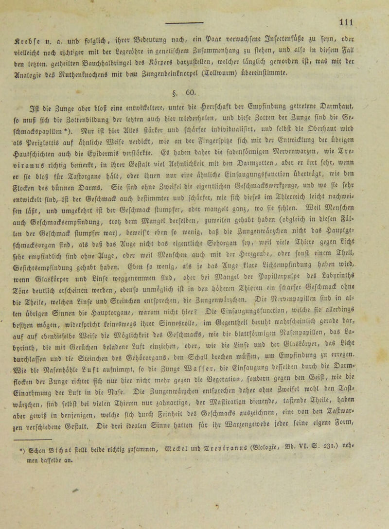 Ärt6fe tt. «. unb folglich, ihrer Sebeutung nach, ein *Paat vetwad)fene Sttfettenfüfe ju fet>n, obet vicllcidrt nod) ringet mit ber Scgcrofjre in genetifdjem Sufflmnwnljnng ju flehen, unb fllfo in biefem galt ben lebten, geteilten S8aud)halbringel beb ötörperb barjuflellen, weichet länglich geworben ijl, wab mit bet Analogie beb 9rutf)cnfnochcnb mit betu SungenbeinEnorpel (Sollwurm) übereinflimmte. §. 60. 3(1 bie 3ungc nbet blop eine entwicfeltere, unter bie £ertfd)aft bet ©mpfinbung getretene Sarmhauf, fo niuf fid) bie 3ottenbiibung bet tefeten and) f)ier reiebertjoten, unb biefe 3ottcn bet 3unge ftnb bie ©es fdjmacfbpapillcn *). 9tur ifl biet 2(!leb flarfet unb fd)ärfer inbivibualifirt, unb Celbfl bie Oberhaut wirb nl« *5)eriglottiö auf 5f;ntid;c ©eifc vertieft, trie on bet gingerfpifee fid), mit bet ©ntmicflung btt übrigen £autfd)id)ten aud) bie ©pibermib verflcrfte. ©« hoben baljer bie fabenfötmigen Ütervcnwarsen, wie Sre= nitanu« richtig bemerft, in ihrer ©efifltt viel llehnlid)feit mit ben Sarmjotten, aber er irrt fcf)r, wenn tt fie blop für Saflorgane hält- ®bet ihnen nur eine ähnliche ©infaugungbfunction übertragt, wie ben gtoefen beb bünnen Sarmb. ©ie ftnb ohne 3tveifel bie eigentlichen ©efehmaefbwerfseuge, unb wo |ie fef)t entwicfelt finb, ifl bet ©efehmne? nud) beflimmtet unb fdjärfet, wie fid) biefeb im Shietreid) (eid)t nadjwei* fen läpt, unb umgefehrt ifl ber ©efchmacf flttmpfet, ober mangelt ganj, wo fie fehlen. ©eil ©enfdjen aud) ©efchmadbempftnbung, tro& bem SKanget betfclben, 9'habt haben (obgleid) in biefen gül» len bet ©efchmacf (lumpfer war), beweift eben fo wenig, bnp bie 3ungcnmüvscben nicht bab Jpauptge= fdpmacfborgan finb, alb bnp bab Kugc nicht bab eigentlid)t ©ehorgan fei), weil viele Shiere gegen 2id)t feht empftnblid) finb ohne 2luge, obet weil ©enfd)en auch mit bet ^ersgrube, ober fon|l einem Shell, ©efichtbempfinbung gehabt haben, ©ben fo wenig, alb je bab Kuge flare 2(d)tempfrnbung haben wirb, wenn ©laeförpet unb ßinfe tpeggenommen finb, ober bei Mangel bet ^apillntpulpe beb 2abpnnthb Sone beutlid) erfcheinen werben, ebenfo unmöglich i(l in ben höheren SE^icten ein fdjarfet ©efchmacf of)ne bie Sheile, welchen Sinfe unb ©teineben entfptech«tt, bie 3ungenwärjd)en. Sie 91;tvenpapillen finb in al= len übrigen ©innen bie $auptotgane, warum nicht hier? Sie ©infaugungbfunction, meld)e fie allerbingb befifeen mögen, wiberfprid)t feinebwegb ihrer ©innebrolle, im ©egentheil beruht wnhtfdjeinlid) gerabe bar: auf auf ebenbie(elbe ©eife bie SWöglicbfeit beb ©efdjmacfb, wie bie blattförmigen Dlafenpapillen, bab 2a-- bprinth, bie mit ©etüdjen belabene 2uft einiiehen, ober, wie bie Sinfe unb bet ©labförpet, bab 2rd)t burchlaffen unb tie ©teineben beb ©ehörorganb, ben ©drall bred)en müffen, um ©mpfinbung ju erregen. SBie bie 9?afenhöf)le Suft aufnimmt, fo bie 3unge ©affer, bie ©infaugung beffelben burd) bie Sarm= fioefen ber 3unge rid)tet fid) nur hier nicht mehr gegen bie Söegetation, fonbern gegen ben ©eift, «i* bie ©inatbmung ber 2uft in bie 9?afe. Sie 3ungenwar*d>en entfpred)en bähet ohne 3weifel wol)l ben Saft-- würjehen, finb felbft bei vielen SEljicron nur jahnartige, ber ©aflication bienenbe, taflenbe 5El)ei'e, haben aber gewip in benjenigen, weld)e fid) burd) geinheit beb ©efd;macfb aubjiithnen, eine von ben Safimar* jtn verfdjiebenc ©eflalt. Sie brei ibealen ©inne hatten für ihr ©atjeugemebe jebet feine eigene dorm, *) 6d)on SBicpat (teilt beibe richtig sufammen, 9Jtecfet unb Svevirannb (Siotogie, S3b. VI. &. 231.) nch* men baffctbc an.