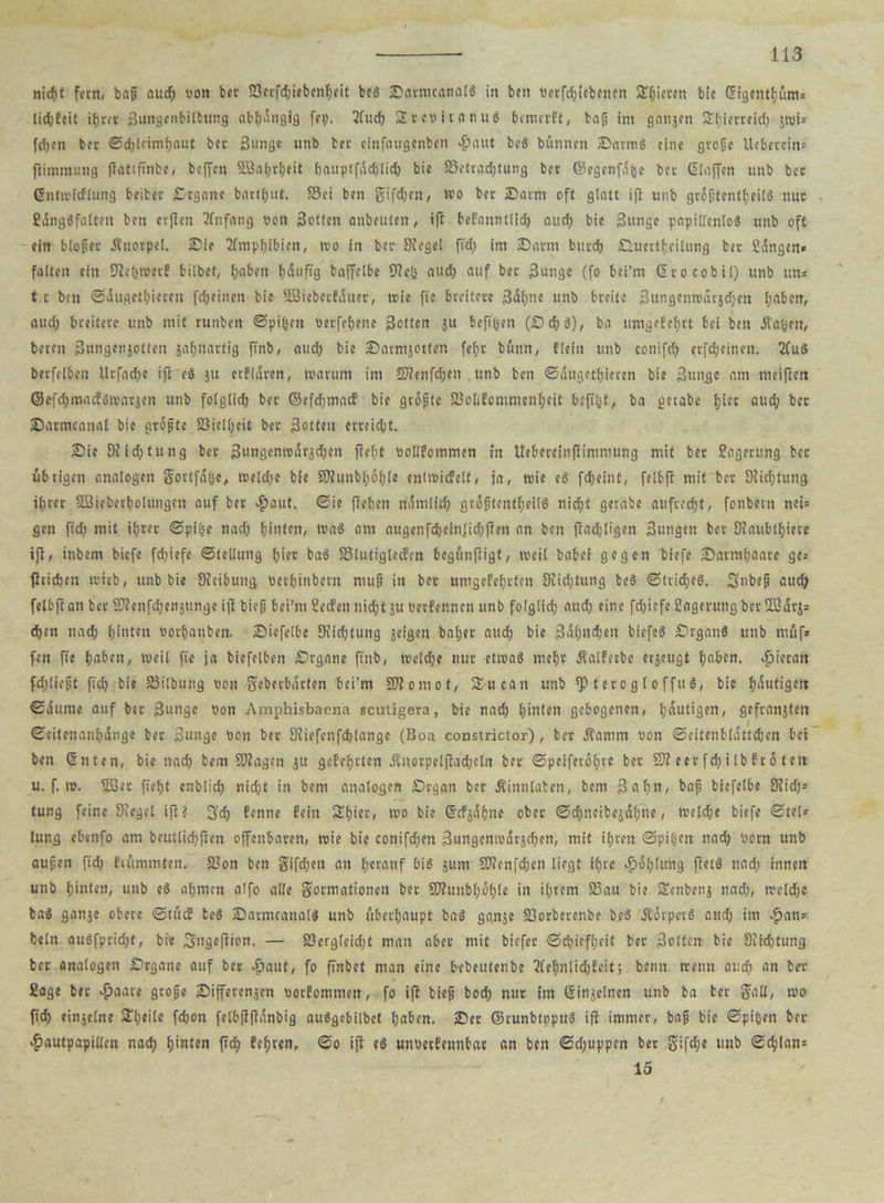 nicht fern, baß aud; oon bcc 93crfd;iebcnhcit be« £arnicana(« in ben oerfchiebencn Rieten bie (5igfnttjüm= lidjEtit ihrer SunflcnbiCbung abhängig fei;. 3fud> Urcoitanu« bcmcrft, baß im gattjen Stl'tcrreicf) jn)i= fd;en bet «Schleimhaut bcc Suttge unb bet cinfaugenben aut be« büttnen IDarm« eine große Uebetein= ftiminung frattfinbe, beffen 2Baf)tf)eit battptfädjlid; bie SSetrachtung bet ©egenfäfce bet klaffen unb bet ©lttwicflung beibec Organe barthut. S5ci ben ßifd;en, wo bet Darm oft glatt ift unb großtcntf;ei[« nut 2<5ng«falten ben erfien Anfang oon Sotten anbeuten, tfl befanntlid; auch bie Sunge papillenlo« unb oft ein bloßer Änotpel. £ie Amphibien, too in bcc Diegel ftdj> im 2)arm btucfj Duectfcilung btt Singen« falten ein 91e(jwerf bilbet, haben fjauffg baffelbe 9?e(s aud) auf bet -Junge (fo bci’m (Srocobil) unb uns t t bat Säugetieren flehten bie SBicbetfäuet, wie fte breitete 3äl;ne unb breite Sungenwärjdjen haben, aud; breitete unb mit runben Spinnt oerfehene Soften ju befi&ett (Sch3), ba umgefehrt bei ben .Raben, beten Sungenjottcit sa^nartig ftnb, auch bie Sarmjotten fei;t bünn, fleitt unb conifd; erfcheinen. 2fu« berfelben Urfache ift cö ju erklären, warum im SJfenfchcn , unb ben Säugetieren bie Suttge am meiftett ©efehmaefowatäen unb folglich bet ©efd;mac£ bie größte S3oll?ommenf)eit beft^t, ba getabc hi« aud; bet Satmcanal bie größte 23iell;eit bet Sotten erreicht. Sie DUdjtung bet Sungcnroärjchen ftebt oollfommen in Itebereinflimmung mit bet Sagerung bcc übrigen analogen gortfä&e, we(d;c bie SDiunbhöhte cnlwicfelt, ja, wie e« fd;eint, felbft mit bet Dtid;tuitg i(;rcr SSSicbcrholungcn auf bet $aut. Sie ffehen nämlich nroßtentl;ciI« nicht gerabe aufrecht, fonbern nei« gen fid; mit ihrer Spi|e nad; hinten, wa« am augenfchcinfichfien an ben ftad;ligen Sungcn bcc Diaubthiete ift, inbem biefe fd;iefe Stellung hier ba« SSlutiglecfen begünftigt, weil babei gegen biefe Satmhaarc ges ftrichen wirb, unb bie Dicibutig oerhinbern ntup in ber umgefehrten DIid;tung be« Striche«, Snbeß auch felbft an ber ®?enfd;cnjiinge i|t biep bei’rn Secfen nidjt ju Oertennen unb folglich aud; eine fd;iefe EagmtngbcrüBlrj* chen nach hinten oorhanben. Siefclbe Sichtung feigen baljer aud; bie 3ät;nchen biefe« £)rgan« unb tnüf» fen fte hüben, weit fte ja bicfelbett Srgane finb, welche nur etwa« mehr Äatfcrbe erjeugt haben. hieran fd;liept ftch bie S3ilbung oon geberbätten bei’m Dttontof, S-u catt unb *p terog lo ffu«, bie heutigen Säume auf ber Sunge Oon Amphisbaena scutigera, bie nach hinten gebogenen, tintigen, gefransten Scitenanhänge ber Sunge oon ber Diiefcnfchlange (Boa constrictor), ber Äamm oon Seitenblättchen bei ben Guten, bie nach bem fragen ju gef ehrten ihitorpclfiad;cln ber Speiferohte ber SSeerfchilbfro tett u. f. w. 9Bec fieht enblich nid;t in bem analogen Srgan bcc .Rinnlaben, bem Seih”/ bap biefelbe Sich* tung feine Diegel ift? Sch Penne fein Slhiec, wo bie Scfjä&ne ober ©djiteibejähne, welche biefe Ste(s lung ebenfo am beutlichfien offenbaren, wie bie conifd;ett Sungcnmärjchen, mit ihren Spi(sen nad; oont unb aupen ftch fiümmten. 33on ben giften an herauf bi« jum CDienfchen liegt ihre ft«« nach innen unb hinten, unb e« ahmen affo alle gormationen ber 3Äunbl;&i8 in ihrem S3au bie Senken} nad;, welche ba« ganje obere StücE be« ©armeanal« unb überhaupt ba« ganje 23orberenbe be« Äärpev« aud; im -£ans kein au«fprid;t, bie Sngefiion. — S3ergteid;t man aber mit biefer Schiefheit ber 3ottm bie 8iid;tung ber analogen Srgane auf ber v£mut, fo finbet man eine bebeutenbe 2(ehnlid;feit; bentt wenn aud; an ber Soge ber Staate große ^Differenzen oorfommen, fo ift biep hoch nur im ßinjclncn unb ba ber galt, wo ft cf; einzelne Sfjeile fd;on felbfifiänbig au«gebilbet haben. ©et ©tunbfpptt« ifi immer, bap bie Spieen ber <£autpapi(len nach hinten fid; Pef)ten, So ift e« unoetfennbat an ben Sd;uppen ber gifd;e unb Schlan* 15