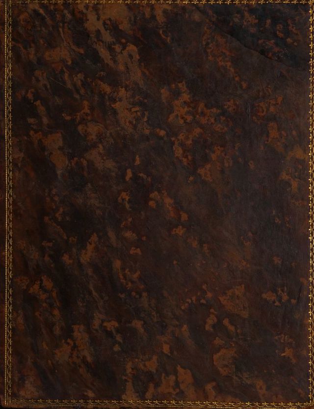 digitised image 1