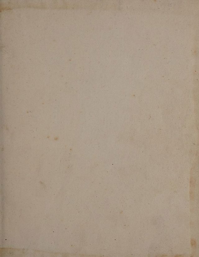 digitised image 3