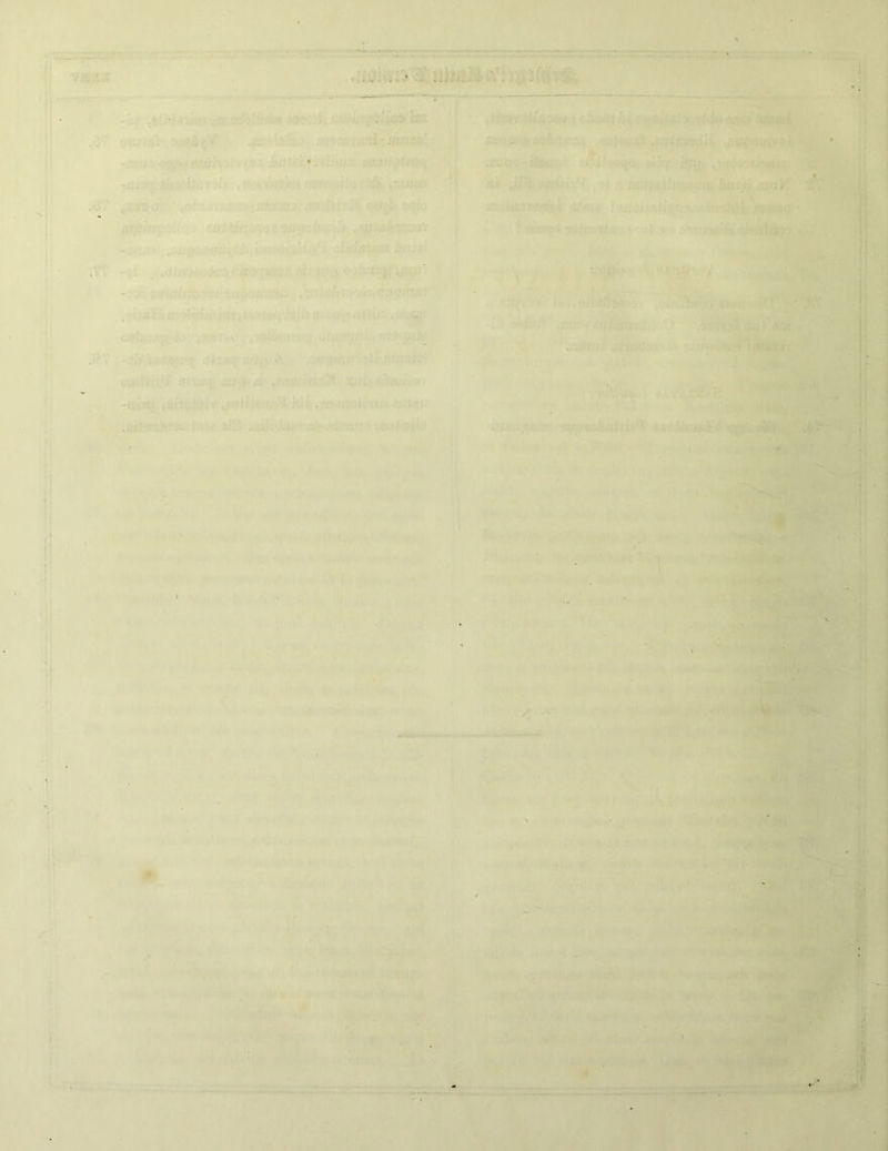 ..... • ■ •... . i . . s ' ■ . :