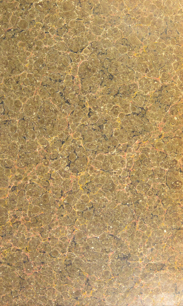 No text description is available for this image