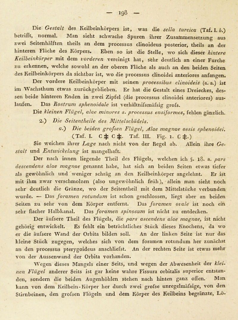 betiifft, normal. ]\Ian sieht schwache Spuren ihrer Zusammensetzung aus zwei Seitenhälften theils an dem processus clinoideus posterior, theils an der hinteren Fläche des Körpers. Eben so ist die Stelle, wo sich dieser hintere Keilheinkörper mit dem vorderen vereinigt hat, sehr deutlich an einer Furche zu erkennen, welche sowohl an der oberen Fläche als auch an den beiden Seiten des Keilbeinkörpers da sichtbar ist, wo die processus clinoidei anteriores anfangen. Der vordere Keilbeinkörper mit seinen processibus clinoideis (a. a.) ist im Wachsthum etwas zurückgeblieben. Er hat die Gestalt eines Dreieckes, des- sen beide hinteren Enden in zwei Zipfel (die processus clinoidei anteriores) aus- laufen. Das Rostrum sphenoidale ist verhältnifsmäfsig grofs. Die kleinen Flügel, alae minures s. processus ensiformes, fehlen gänzlich. 2.) THe Seitentheile des Mittelschädels. a.') Die beiden grofsen Flügel, Alae magnae ossis sphenoidei, (Taf. I. C$ C$. Taf. III. Fig. l. C$0 Sie weichen ihrer Lage nach nicht von der Regel ab. Allein ihre Ge- stalt und Entwickelung ist mangelhaft. Der nach innen liegende Theil des Flügels, welchen ich §. 18. a. pars descendens alae magnae genannt habe, hat sich an beiden Seiten etwas tiefer als gewöhnlich und weniger schräg an den Keilbeinkörper angelehnt. Er ist mit ihm zwar verschmolzen (also ungewöhnlich früh), allein man sieht noch sehr deutlich die Gränze, wo der Seitentheil mit dem Mittelstücke verbunden wurde. — Das foramen rotundum ist schon geschlossen, liegt aber an beiden Seiten zu sehr von dem Körper entfernt. Das foramen ovale ist noch ein sehr flacher Halbkanal. Das foramen spinosum ist nicht zu entdecken. Der äufsere Theil des Flügels, die pars ascendejis alae tnagnae, ist nicht gehörig entwickelt. Es fehlt ein beträchtliches Stück dieses Knochens, da wo er die äufsere Wand der Orbita bilden soll. An der linken Seite ist nur das kleine Stück zugegen, welches sich von dem foramen rotundum her zunächst an den processus pterygoideus anschliefst. An der rechten Seite ist etwas mehr von der Aussenwand der Orbita vorhanden. Wegen dieses Mangels einer Seits, und wegen der Abwesenheit der klei- nen Flügel anderer Seits ist gar keine wahre Fissura orbitalis superior entstan- den, sondern die beiden Augenhöhlen stehen nach hinten ganz offen. Man kann von dem Keilbein-Körper her durch zwei grofse unregelmäfsige, von den Stirnbeinen, den grofsen Flügeln und dem Körper des Keilbeins begränzte, Lö-