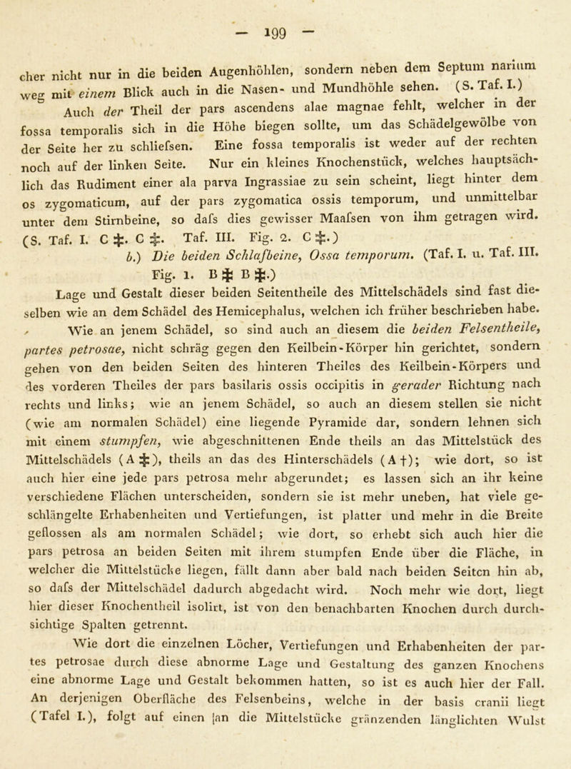 eher nicht nur in die beiden Augenhöhlen, sondern neben dem Septum nanum wetr mit einem Blick auch in die Nasen- und Mundhöhle sehen. (S.Taf.I.) & Auch der Theil der pars ascendens alae magnae fehlt, welcher in der fossa temporalis sich in die Höhe biegen sollte, um das Schädelgewölbe von der Seite her zu schliefsen. Eine fossa temporalis ist weder auf der rechten noch auf der linken Seite. Nur ein kleines Knochenstück, welches hauptsäch- lich das Rudiment einer ala parva Ingrassiae zu sein scheint, liegt hinter dem os zygomaticum, auf der pars zygomatica ossis temporum, und unmittelbar unter dem Stirnbeine, so dafs dies gewisser Maafsen von ihm getragen wird. (S. Taf. I. C^.C £. Taf. III. Fig. 2. C$.) b.) Die beiden Schlafbeine, Ossa temporum. (Taf. I. u. Taf. III. Fig. 1. B $ B $.) Lage und Gestalt dieser beiden Seitentheile des Mittelschädels sind fast die- selben wie an dem Schädel des Hemicephalus, welchen ich früher beschrieben habe. ✓ Wie an jenem Schädel, so sind auch an diesem die beiden Felsentheile9 partes petrosae, nicht schräg gegen den Keilbein-Körper hin gerichtet, sondern gehen von den beiden Seiten des hinteren Theil es des Keilbein-Körpers und des vorderen Theiles der pars basilaris ossis occipitis in gerader Richtung nach rechts und links; wie an jenem Schädel, so auch an diesem stellen sie nicht (wie am normalen Schädel) eine liegende Pyramide dar, sondern lehnen sich mit einem stumpfen, wie abgeschnittenen Ende theils an das Mittelstück des Mittelschädels (A^), theils an das des Hinterschädels (Af); wie dort, so ist auch hier eine jede pars petrosa mehr abgerundet; es lassen sich an ihr keine verschiedene Flächen unterscheiden, sondern sie ist mehr uneben^ hat viele ge- schlängelte Erhabenheiten und Vertiefungen, ist platter und mehr in die Breite geflossen als am normalen Schädel; wie dort, so erhebt sich auch hier die pars petrosa an beiden Seiten mit ihrem stumpfen Ende über die Fläche, in welcher die Mittelstüche liegen, fällt dann aber bald nach beiden Seiten hin ab, so dafs der Mittelschädel dadurch abgedacht wird. Noch mehr wie dort, liegt hier dieser Knochentheil isolirt, ist von den benachbarten Knochen durch durch- sichtige Spalten getrennt. Wie dort die einzelnen Löcher, Vertiefungen und Erhabenheiten der par- tes petrosae durch diese abnorme Lage und Gestaltung des ganzen Knochens eine abnorme Lage und Gestalt bekommen hatten, so ist es auch hier der Fall. An derjenigen Oberfläche des Felsenbeins, welche in der basis cranii liegt (Tafel I.), folgt auf einen jan die Mittelstücke gränzenden länglichten Wulst