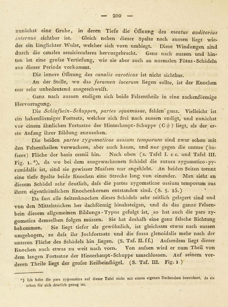 zunächst eine Grube, in deren Tiefe die Öffnung des mcatus auditorius internus sichtbar ist. Gleich neben dieser Spalte nach aussen liegt wie- der ein länglichter Wulst, welcher sich vorn umbiegt. Diese Windungen sind durch die canales semicirculares hervorgebracht. Ganz nach aussen und hin- ten ist eine grofse Vertiefung, wie sie aber auch an normalen Fötus-Schädeln aus dieser Periode vorkommt. Die innere Öffnung des canalis caroticus ist nicht sichtbar. An der Stelle, wo das foramen lacerum liegen sollte, ist der Knochen nur sehr unbedeutend ausgeschweift. Ganz nach aussen endigen sich beide Felsentheile in eine zackenförmige Hervorragung. Die Schlafbein-Schuppeny partes scjuamosae9 fehlen ganz. Vielleicht ist ein hakenförmiger Fortsatz, welcher sich frei nach aussen endigt, und zunächst vor einem ähnlichen Fortsatze der Hinterhaupt-Schuppe (Crfr) liegt, als der er- ste Anfang ihrer Bildung anzusehen. Die beiden partes zygomaticae ossiuni temporum sind zwar schon mit den Felsentheilen verwachsen, aber auch kaum, und nur gegen die untere (au- fsere) Fläche der basis cranii hin. Nach oben (s. Tafel I. c c. und Tafel III. Fig. 1. *), da wo bei dem ausgewachsenen Schädel die sutura zygomatico-py- ramidalis ist, sind sie gewisser Maafsen nur angeklebt. An beiden Seiten trennt eine tiefe Spalte beide Knochen eine Strecke lang von einander. Man sieht an diesem Schädel sehr deutlich, dafs die partes zygomaticae ossium temporum aus ihren eigenthiimlichen Knochenkernen entstanden sind. (S. §. l5.) Da fast alle Seitenknochen dieses Schädels sehr seitlich gelagert sind und von den Mittelstücken her dachförmig hinabsteigen, und da das ganze Felsen- bein diesem allgemeinen Bildungs - Typus gefolgt ist, ,so hat auch die pars zy- gomatica demselben folgen müssen. Sie hat deshalb eine ganz falsche Richtung bekommen. Sie liegt tiefer als gewöhnlich, ist gleichsam etwas nach aussen um gebogen, so dafs ihr Jochfortsatz und die fossa glenoidalis mehr nach der unteren Fläche des Schädels hin liegen. (S. Taf. II. ff.) Aufserdem liegt dieser Knochen auch etwas zu weit nach vorn. Von aufsen wird er zum Theil von dem langen Fortsatze der Hinterhaupt-Schuppe umschlossen. Auf seinem vor- deren Theile liegt der grofse Keilbeinllügel. (S. Taf. III. Fig. l ) *) Ich habe die pars zygomatica auf dieser Tafel nicht mit einem eigenen Buchstaben bezeichnet, da sie schon für sich deutlich genug ist.