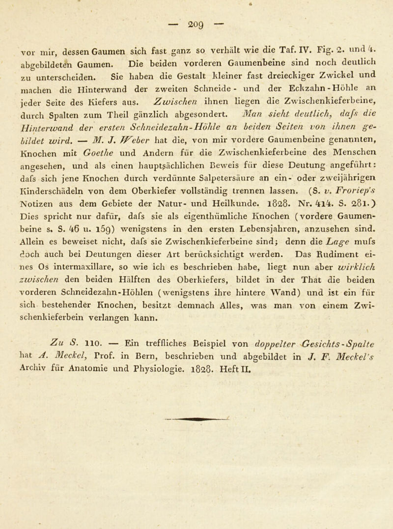 vor mir, dessen Gaumen sich fast ganz so verhält wie die Taf. IV. Fig. 2» nnd i. abgebildeten Gaumen. Die beiden vorderen Gaumenbeine sind noch deutlich zu unterscheiden. Sie haben die Gestalt kleiner fast dreieckiger Zwickel und machen die Hinterwand der zweiten Schneide- und der Eckzahn - Höhle an jeder Seite des Kiefers aus. Zwischen ihnen liegen die Zwischenkieferbeine, durch Spalten zum Theil gänzlich abgesondert. Man sieht deutlich, dajs die Hinterwand der ersten Schneidezahn-Höhle an beiden Seiten von ihnen ge- bildet wird. — M. J. TFeber hat die, von mir vordere Gaumenbeine genannten, Knochen mit Goethe und Andern für die Zwischenkieferbeine des Menschen angesehen, und als einen hauptsächlichen Beweis für diese Deutung angeführt: dafs sich jene Knochen durch verdünnte Salpetersäure an ein- oder zweijährigen Kinderschädeln von dem Oberkiefer vollständig trennen lassen. (S. v. Froriep’s Notizen aus dem Gebiete der Natur- und Heilkunde. 1828. Nr. 4l4. S. 281.) Dies spricht nur dafür, dafs sie als eigenthümliche Knochen (vordere Gaumen- beine s. S. 46 u. 169) wenigstens in den ersten Lebensjahren, anzusehen sind. Allein es beweiset nicht, dafs sie Zwischenkieferbeine sind; denn die Lage mufs doch auch bei Deutungen dieser Art berücksichtigt werden. Das Rudiment ei- nes Os intermaxillare, so wie ich es beschrieben habe, liegt nun aber wirklich zwischen den beiden Hälften des Oberkiefers, bildet in der That die beiden vorderen Schneidezahn-Höhlen (wenigstens ihre hintere Wand) und ist ein für sich bestehender Knochen, besitzt demnach Alles, was man von einem Zwi- schenkieferbein verlangen kann. Zu S. 110. — Ein treffliches Beispiel von doppelter Gesichts -Spalte hat A. Meckel, Frof. in Bern, beschrieben und abgebildet in J. F. Meckel’s Archiv für Anatomie und Physiologie. 1828. Heft II.