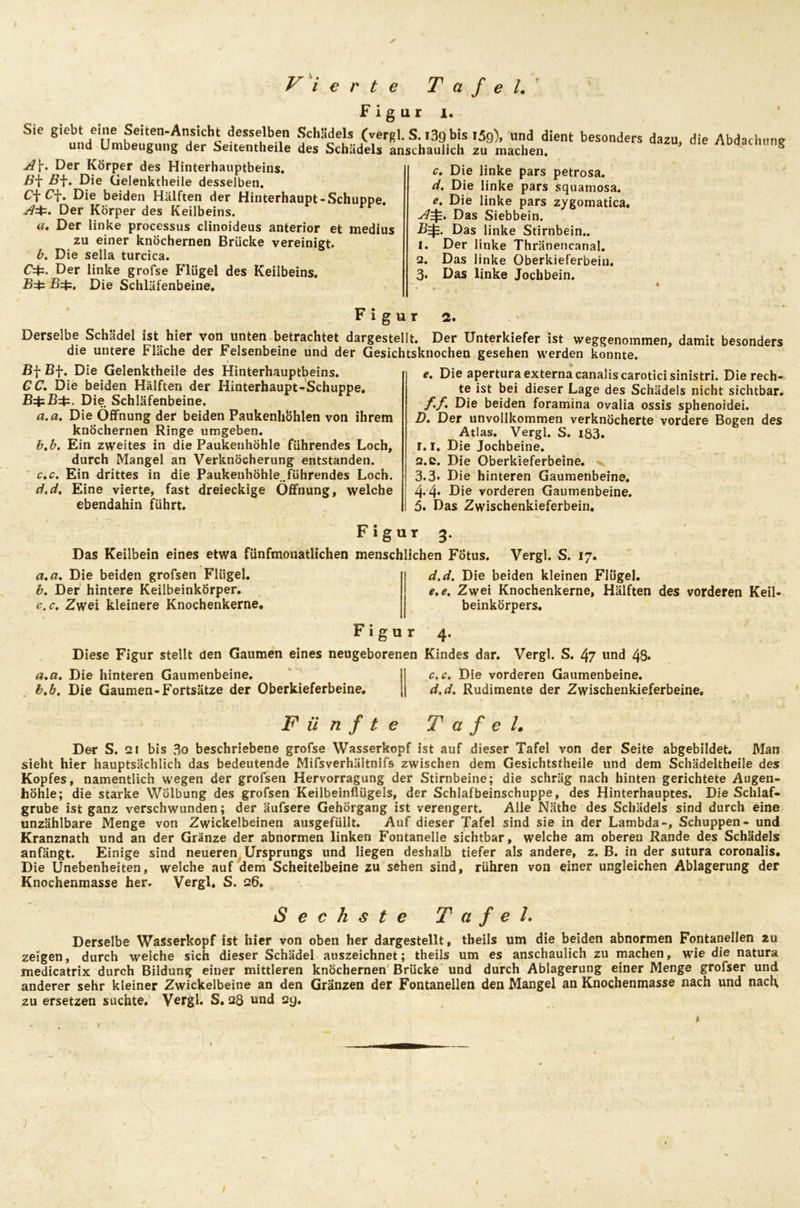 ✓ Vierte Tafel. Figur i. Sie giebt eine Seiten-Ansicht desselben Schädels (vergl. S. i39 bis 159), und dient besonders und Umbeugung der Seitentheile des Schädels anschaulich zu machen. A\. Der Körper des Hinterhauptbeins. B\. Die Gelenktheile desselben. C\C\. Die beiden Hälften der Hinterhaupt-Schuppe. A^. Der Körper des Keilbeins. a. Der linke processus clinoideus anterior et medius zu einer knöchernen Brücke vereinigt. b. Die sella turcica. Der linke grofse Flügel des Keilbeins. Die Schläfenbeine. dazu, die Abdachung c. Die linke pars petrosa. d. Die linke pars squamosa. e. Die linke pars zygomatica. A^. Das Siebbein. ■B=jE. Das linke Stirnbein.. 1. Der linke Thränencanal. 2. Das linke Oberkieferbein. 3. Das linke Jochbein. Figur 2. Derselbe Schädel ist hier von unten betrachtet dargestellt. Der Unterkiefer ist weggenommen, damit besonders die untere Fläche der Felsenbeine und der Gesichtsknochen gesehen werden konnte. B\ Bf. Die Gelenktheile des Hinterhauptbeins. CC. Die beiden Hälften der Hinterhaupt-Schuppe. Die Schläfenbeine. a. a. Die Öffnung der beiden Paukenhöhlen von ihrem knöchernen Ringe umgeben. b. b. Ein zweites in die Paukenhöhle führendes Loch, durch Mangel an Verknöcherung entstanden. c. c. Ein drittes in die Paukeuhöhle.führendes Loch. d. d. Eine vierte, fast dreieckige Öffnung, welche ebendahin führt. e. Die apertura externa canalis carotici sinistri. Die rech- te ist bei dieser Lage des Schädels nicht sichtbar. f. f. Die beiden foramina ovalia ossis sphenoidei. D. Der unvollkommen verknöcherte vordere Bogen des Atlas. Vergl. S. i83. r. 1. Die Jochbeine, a.c. Die Oberkieferbeine. 3.3* Die hinteren Gaumenbeine. 4-4* Die vorderen Gaumenbeine. 5. Das Zwischenkieferbein. Das Keilbein eines etwa fünfmonatlichen a. a. Die beiden grofsen Flügel. b. Der hintere Keilbeinkörper. c. c. Zwei kleinere Knochenkerne. Figur 3. menschlichen Fötus. Vergl. S. 17. d. d. Die beiden kleinen Flügel. e. e. Zwei Knochenkerne, Hälften des vorderen Keil- beinkörpers. Figur 4. Diese Figur stellt den Gaumen eines neugeborenen Kindes dar. Vergl. S. 47 und 48. a. a. Die hinteren Gaumenbeine. b. b. Die Gaumen-Fortsätze der Oberkieferbeine. c. c. Die vorderen Gaumenbeine. d. d. Rudimente der Zwischenkieferbeine. Fünfte Tafel. Der S. 2 t bis 3o beschriebene grofse Wasserkopf ist auf dieser Tafel von der Seite abgebildet. Man sieht hier hauptsächlich das bedeutende Mifsverhältnifs zwischen dem Gesichtsfheile und dem Schädeltheile des Kopfes, namentlich wegen der grofsen Hervorragung der Stirnbeine; die schräg nach hinten gerichtete Augen- höhle; die starke Wölbung des grofsen Keilbeinflügels, der Schlafbeinschuppe, des Hinterhauptes. Die Schlaf- grube ist ganz verschwunden; der äufsere Gehörgang ist verengert. Alle Näthe des Schädels sind durch eine unzählbare Menge von Zwickelbeinen ausgefüllt. Auf dieser Tafel sind sie in der Lambda-, Schuppen- und Kranznath und an der Gränze der abnormen linken B'ontanelle sichtbar, welche am oberen Rande des Schädels anfängt. Einige sind neueren Ursprungs und liegen deshalb tiefer als andere, z. B. in der sutura coronalis. Die Unebenheiten, welche auf dem Scheitelbeine zu sehen sind, rühren von einer ungleichen Ablagerung der Knochenmasse her. Vergl. S. 26. Sechste Tafel. Derselbe Wasserkopf ist hier von oben her dargestellt, theils um die beiden abnormen Fontanellen 2u zeigen, durch welche sich dieser Schädel auszeichnet; theils um es anschaulich zu machen, wie die natura medicatrix durch Bildung einer mittleren knöchernen Brücke und durch Ablagerung einer Menge grofser und anderer sehr kleiner Zwickelbeine an den Gränzen der Fontanellen den Mangel an Knochenmasse nach und nach zu ersetzen suchte. Vergl. S. 28 und 29.