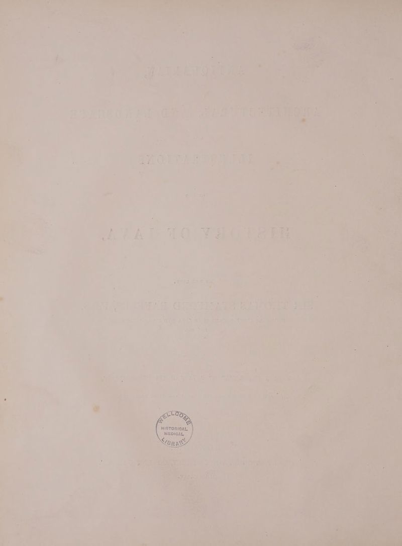 aKOTE! Para gee Fa . mite VAT re ey Ws ; fh. t 4 re @ oe 38 ie ve e: e. . : a © y “ - y- wheenr mene etine eer epcrecraa eee y ig ye 1% ¢ hie le op: cL ti: tie a ‘’. i a ake ace - i f= m4 A 4 Mien 4