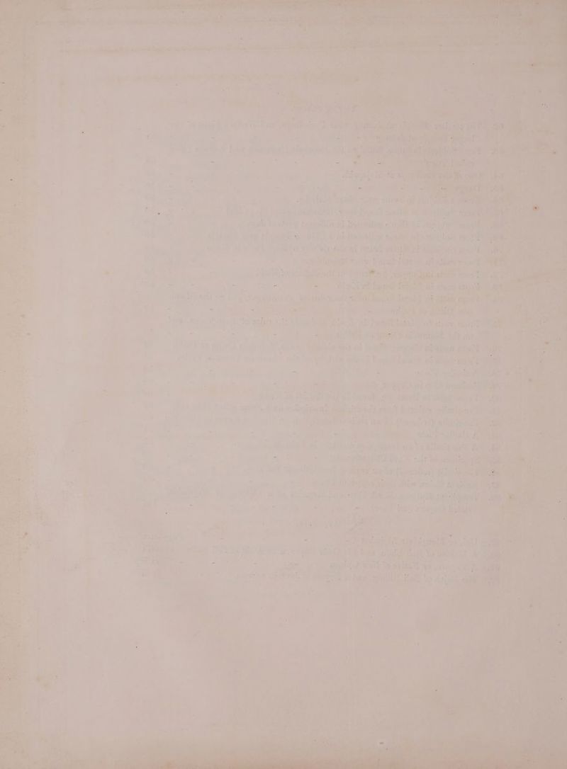 oidange, ‘ia a Gk] Lear ESD ay sng: wren ah re ieee ; ‘Deena ache of ie i ow May 1 it 5 ™_ at ‘ ms eat nv) Tae BO ak aie a4 Wingy | Le ree ok nl wk ey Fak IRE ont a! Ee mist Diab |p iesigvon'hs Bry a alianieadt A ae ; alt tuted rag > iy ut + obi ant he OTA ae ies to aE a7 all ate Bip io. Cea fay’ Ghhie * te. ehh rt ry : pt Ae tA ree au tong aes HED NE nary vA 7a $eb 3 a Breil nie? Hath ' iv i =o