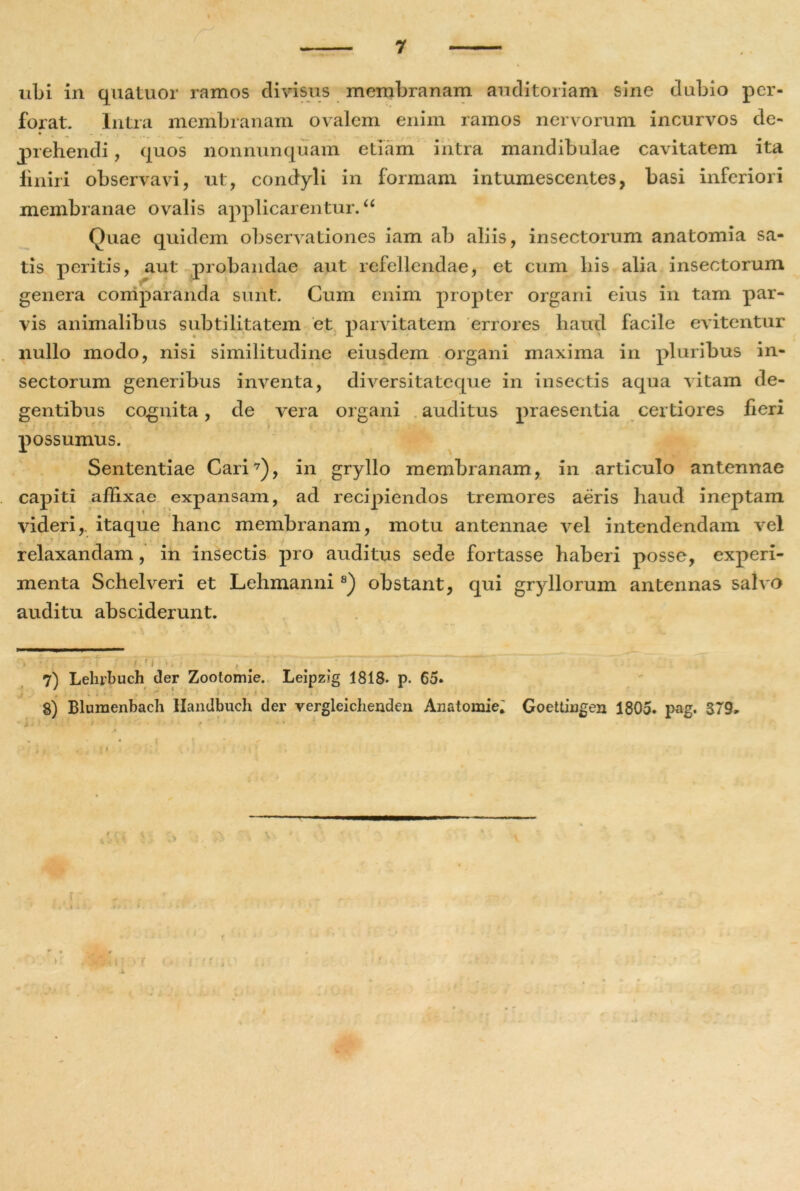 ubi in quatuor ramos clivisus membranam auditoriam sine dubio per- forat. Intra membranam ovalem enim ramos nervorum incurvos de- • _ prehendi, quos nonnunquam etiam intra mandibulae cavitatem ita finiri observavi, ut, condyli in formam intumescentes, basi inferiori membranae ovalis applicarentur. “ Quae quidem observationes iam ab aliis, insectorum anatomia sa- tis peritis, aut probandae aut refellendae, et cum his alia insectorum genera comparanda sunt. Cum enim propter organi eius in tam par- vis animalibus subtilitatem et parvitatem errores haud facile evitentur nullo modo, nisi similitudine eiusdem organi maxima in pluribus in- sectorum generibus inventa, diversitateque in insectis aqua vitam de- gentibus cognita, de vera organi auditus praesentia certiores fieri 9 i- possumus. Sententiae Cari* 7), in gryllo membranam, in articulo antennae capiti affixae expansam, ad recipiendos tremores aeris haud ineptam videri,, itaque hanc membranam, motu antennae vel intendendam vel relaxandam, in insectis pro auditus sede fortasse haberi posse, experi- menta Schelveri et Lehmanni8) obstant, qui gryllorum antennas salvo auditu absciderunt. • ■' i ■ 7) Lehrbuch der Zootomie. Leipzig 1818. p. 65. 8) Blumenbach Handbuch der vergleichenden Anatomie; Goettiagen 1805. pag. 379* > 9