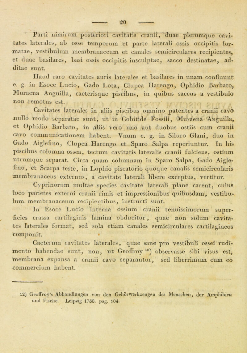 Parti nimirum posteriori cavitatis cranii, duae plerumque cavi- tates laterales, ab osse temporum et parte laterali ossis occipitis for- matae, vestibulum membranaceum et canales semicirculares recipientes, et duae basilares, basi ossis occipitis insculptae, sacco destinatae, ad- ditae sunt. Haud raro cavitates auris laterales et basilares in unam confluunt e. g. in Esoce Lucio, Gado Lota, Clupea Harengo, Ophidio Barbato, Muraena Anguilla, caeterisque piscibus, in quibus saccus a vestibulo non remotus est. t * . . Cavitates laterales in aliis piscibus omnino patentes a cranii cavo nullo modo separatae sunt, ut in Cobitide Fossili, Muraena Anguilla, et Ophidio Barbato, in abis vero uno aut duobus ostiis cum cranii cavo communicationem habent. Vnum e. g. in Siluro Glani, duo in Gado Aiglefmo, Clupea. Harengo et Sparo Salpa reperiuntur. In his piscibus columna ossea, tectum cavitatis lateralis cranii fulciens, ostium utrumque separat. Circa quam columnam in Sparo Salpa, Gado Aigle- fino, et Scarpa teste, in Lophio piscatorio quoque canalis semicircularis membranaceus externus, a cavitate laterali libere exceptus, vertitur. Cyprinorum multae species cavitate laterali plane carent, cuius loco parietes externi cranii rimis et impressionibus quibusdam, vestibu- lum- membranaceum recipientibus, instructi sunt. In Esoce Lucio interna ossium cranii tenuissimorum super- ficies crassa cartilaginis lamina obducitur, quae non solum cavita- tes laterales format, sed sola etiam canales semicirculares cartilagineos comjionit. • Caeterum cavitates laterales, quae sane pro vestibuli ossei rudi- mento habendae sunt, non, ut Geoflroy I2) observasse sibi visus est, membrana expansa a cranii cavo separantur, sed liberrimum cum eo commercium habent. 12) Geofli'oy’s Abliandluqgen von den Geliorwej kzeugen des Menschen, der Ainphibiea utid Fisclie. Leipzig 1780. pag. 104.