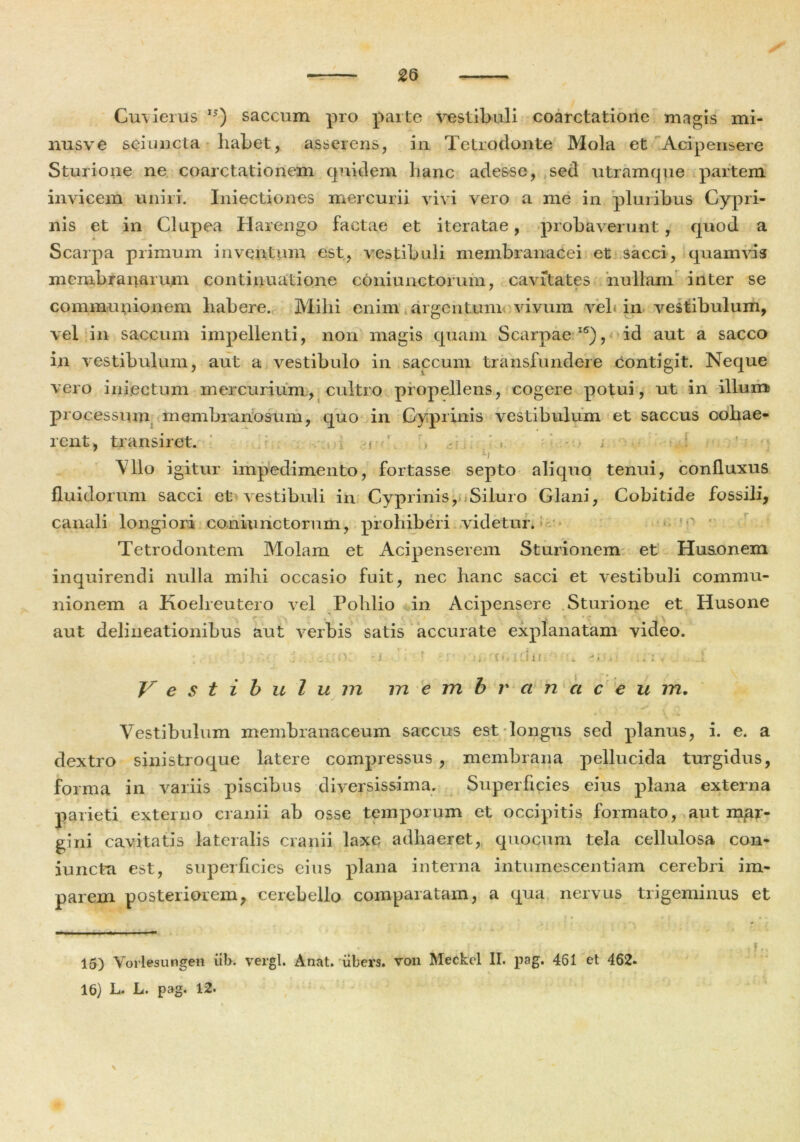 nusve seiuncta habet, asserens, in Tetrodonte Mola et Acipensere Sturione ne coarctationem quidem hanc adesse, sed utramque partem invicem uniri. Iniectiones mercurii vivi vero a me in pluribus Cypri- nis et in Clupea Harengo factae et iteratae, probaverunt, quod a Scarpa primum inventum est, vestibuli membranacei et sacci, quamvis membranarum continuatione commictorum, cavitates nullam inter se communionem habere. Milii enim argentum vivum vel* in vestibulum, vel in saccum impellenti, non magis quam Scarpae16), id aut a sacco in vestibulum, aut a vestibulo in saccum transfundere contigit. Neque vero infectum mercurium, cultro propellens, cogere potui, ut in illum processum membranosum, quo in Cyprinis vestibulum et saccus cohae- rent, transiret. , ' , . - -/ _ Alio igitur impedimento, fortasse septo aliquo tenui, confluxus fluidorum sacci et vestibuli in Cyprinis,**Siluro Glani, Cobitide fossili, canali longiori coniunctorum, prohiberi videtur. Tetrodontem Molam et Acipenserem Sturionem et Hu&onem inquirendi nulla mihi occasio fuit, nec hanc sacci et vestibuli commu- nionem a Koelreutero vel Polilio in Acipensere Sturione et Husone aut delineationibus aut verbis satis accurate explanatam video. ' : O. J • ! . : . f» 1 Cl i l i • •. -. . • V . J Vestibulum in e m b r a h a c e u in. Vestibulum membranaceum saccus est longus sed planus, i. e. a dextro sinistroque latere compressus, membrana pellucida turgidus, forma in variis piscibus diversissima. Superficies eius plana externa parieti externo cranii ab osse temporum et occipitis formato, aut mjar- crini cavitatis lateralis cranii laxe adhaeret, quocum tela cellulosa con- iuncta est, superficies eius plana interna intumescentiam cerebri im- parem posteriorem, cerebello comparatam, a qua nervus trigeminus et 15) \orlesungen iib. vergi. Anat. iibers. von Meckel II. pag. 461 et 462.