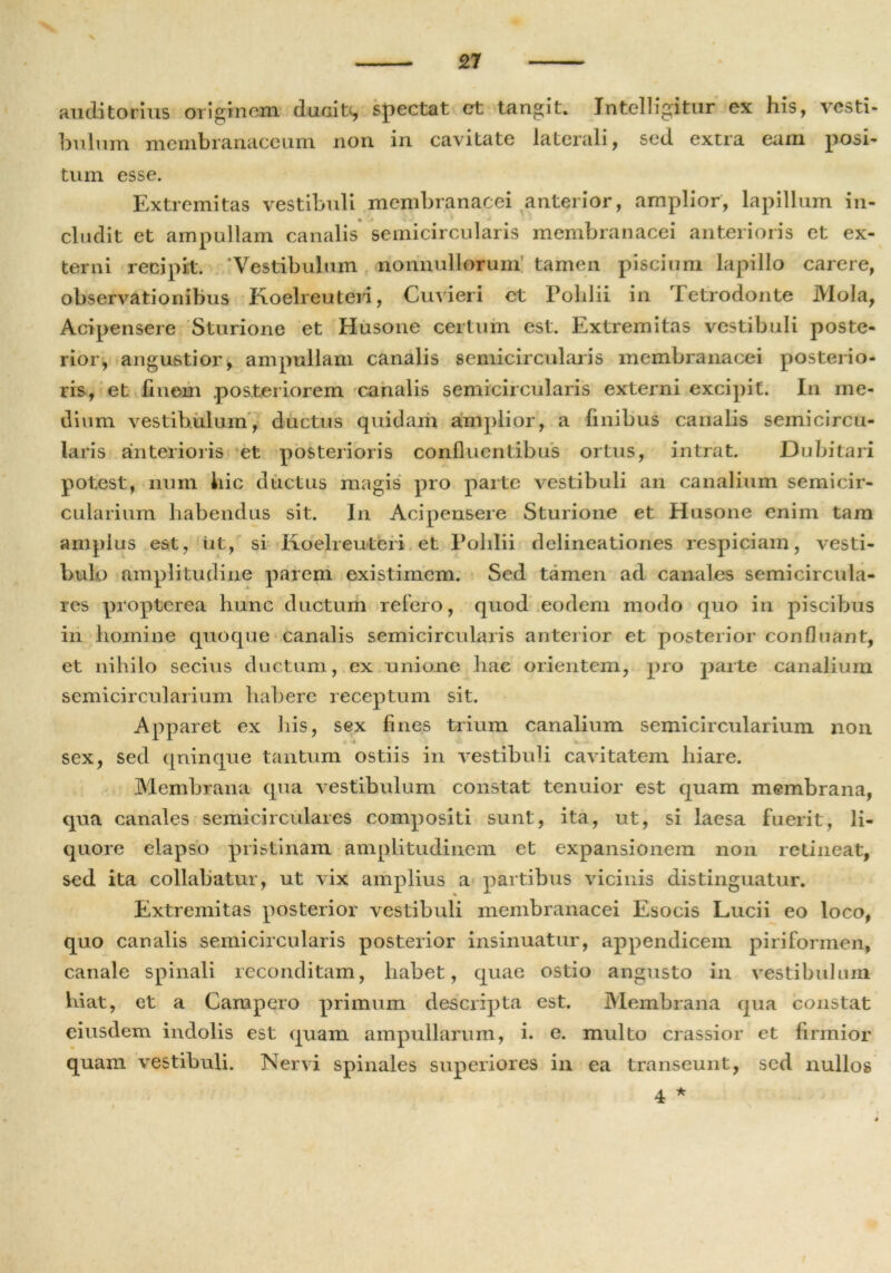 27 auditorius originem ducite spectat et tangit. Intelligitur ex his, vesti- bulum membranaceum non in cavitate laterali, sed extra eam posi- tum esse. Extremitas vestibuli membranacei anterior, amplior, lapillum in- eludit et ampullam canalis semicircularis membranacei anterioris et ex- terni recipit. ‘Vestibulum nonnullorum tamen piscium lapillo carere, observationibus Koelreuteri, Cuvieri et Poldii in Tetrodonte Mola, Acipensere Sturione et Husone certum est. Extremitas vestibuli poste- rior, angustior, ampullam canalis semicircularis membranacei posterio- ris, et finem posteriorem canalis semicircularis externi excipit. In me- dium vestibulum, ductus quidam amplior, a finibus canalis semicircu- laris anterioris et posterioris confluentibus ortus, intrat. Dubitari potest, num hic ductus magis pro parte vestibuli an canalium semicir- cularium habendus sit. In Acipensere Sturione et Husone enim tam amplus est, iit, si Koelreuteri et Poldii delineationes respiciam, vesti- bulo amplitudine parem existimem. Sed tamen ad canales semicircula- res propterea hunc ductum refero, quod eodem modo quo in piscibus in homine quoque canalis semicircularis anterior et posterior confluant, et nihilo secius ductum, ex unione hae orientem, pro parte canalium semicircularium habere receptum sit. Apparet ex his, sex fines trium canalium semicircularium non . ^ sex, sed qninque tantum ostiis in vestibuli cavitatem hiare. Membrana qua vestibulum constat tenuior est quam membrana, qua canales semicirculares compositi sunt, ita, ut, si laesa fuerit, li- quore elapso pristinam amplitudinem et expansionem non retineat, sed ita collabatur, ut vix amplius a partibus vicinis distinguatur. Extremitas posterior vestibuli membranacei Esocis Lucii eo loco, quo canalis semicircularis posterior insinuatur, appendicem piriformen, canale spinali reconditam, habet, quae ostio angusto in vestibulum hiat, et a Campero primum descripta est. Membrana qua constat eiusdem indolis est quam ampullarum, i. e. multo crassior et firmior quam vestibuli. Nervi spinales superiores in ea transeunt, sed nullos 4 * i