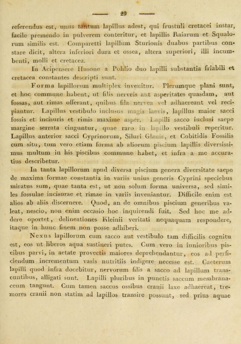 referendas est, unus tantum lapillus adest, qui frustuli cretacei instar, facile premendo in pulverem conteritur, et lapillis Piaiarum et Squalo- rum similis est. Comparetti lapillum Sturionis duabus partibus con- stare dicit, altera inferiori dura et ossea, altera superiori, illi incum- benti, molli et cretacea. Iri Acipensere Husone a Polilio duo lapilli substantia friabili et cretacea constantes descripti sunt. Forma lapillorum multiplex invenitur. Plerumque plani sunt, et hoc commune liabent, ut filis nerveis aut asperitates quasdam, aut fossas, aut rimas ollerant, quibus fila nervea vel adhaereant vel reci- piantur. Lapillus vestibulo inclusus magis laevis, lapillus maior sacci fossis et incisuris et rimis maxime asper. Lapilli sacco iuclusi saepe margine serrata cinguntur, quae raro in lapillo vestibuli reperitur. Lapillus anterior sacci Cyprinorum, Siluri Glanis, et Cobitidis Fossilis cum situ, tum vero etiam forma ab aliorum piscium lapillis diversissi- mus multum in his piscibus commune habet, et infra a me accura- tius describetur. In tanta lapillorum apud diversa piscium genera diversitate saepe de maxima formae constantia in variis unius generis Cyprini speciebus miratus sum, quae tanta est, ut non solum forma universa, sed simi- les fossulae incisurae et rimae in variis inveniantur. Difficile enim est alios ab aliis discernere. Quod, an dc omnibus piscium generibus va- leat, nescio, non enim occasio hoc inquirendi fuit. Sed hoc me ad- dere oportet, delineationes Kleinii veritati nequaquam respondere, itaque in hunc finem non posse adhiberi. Nexus lapillorum cum sacco aut vestibulo tam difficilis cognitu est, eos ut liberos aqua sustineri putes. Cum vero in iunioribus pis- cibus parvi, in aetate provectis maiores deprehendantur, eos ad perfi- ciendum incrementum vasis nutritiis indigere necesse est. Caeterum lapilli quod infra docebitur, nervorum filis a sacco ad lapillum trans- euntibus, alligati sunt. Lapilli pluribus in punctis saccum membrana- ceum tangunt. Cum tamen saccus ossibus cranii laxe adhaereat, tre- mores cranii non statim ad lapillos transire possunt, sed prius aquae
