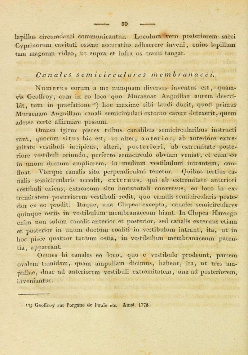 lapillos circumdanti communicantur. Loculum vero posteriorem sacci Cyprinorum cavitati osseae accuratius adhaerere inveni, cuius lapillum tam magnum video, ut supra et infra os cranii tangat. Canales s emi c ir cui a res m etnbranace i. Numerus eorum a me nunquam diversus inventus est, quam- vis Geoffroy, cum in eo loco quo Muraenae Anguillae aurem descri- bit, tum in praefatione17) hoc maxime sibi laudi ducit, quod primus Muraenam Anguillam canali semicirculari externo carere detexerit, quem adesse certe affirmare possum. Omnes igitur pisces tribus canalibus semicircularibus instructi sunt, quorum situs hic est, ut alter, anterior, ab anteriore extre- mitate vestibuli incipiens, alteri, posteriori, ab extremitate poste- riore vestibuli oriundo, perfecto semicirculo obviam veniat, et cum eo in unum ductum ampliorem, in medium vestibulum intrantem, con- fluat. Vterque canalis situ perpendiculari tenetur. Ouibus tertius ca- nalis semicircularis accedit, externus, qui ab extremitate anteriori vestibuli exiens, extrorsum situ horizontali conversus, eo loco in ex- tremitatem posteriorem vestibuli redit, quo canalis semicircularis poste- rior ex eo prodit. Itaque, una Clupea excepta, canales semicirculares quinque ostiis in vestibulum membranaceum hiant. In Clupea ILarengo enim non solum canalis anterior et posterior, sed canalis externus etiam et posterior in unum ductum coaliti in vestibulum intrant, ita, ut in hoc pisce quatuor tantum ostia, in vestibulum membranaceum paten- tia, appareant. Omnes hi canales eo loco, quo e vestibulo prodeunt, partem ovalem tumidam, quam ampullam dicimus, habent, ita, ut tres am- pullae, duae ad anteriorem vestibuli extremitatem, una ad posteriorem, inveniantur. 17) Geoitroy sur Porgane de Pouie elc. Amst. 1773.