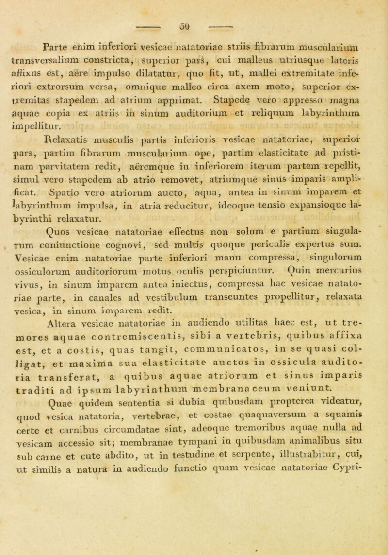 Parte enim inferiori vesicae natatoriae striis fibrarum muscularium transversalium constricta, superior pars, cui malleus utriusque lateris affixus est, aere impulso dilatatur, quo fit, ut, mallei extremitate infe- riori extrorsum versa, omni que malleo circa axem moto, superior ex- tremitas stapedem ad atrium apprimat. Stapede vero appresso magna aquae copia ex atriis in sinum auditorium et reliquum labyrinthum impellitur. Relaxatis musculis partis inferioris vesicae natatoriae, superior pars, partim fibrarum muscularium ope, partim elasticitate ad pristi- nam parvitatem redit, aeremque in inferiorem iterum partem repellit, simul vero stapedem ab atrio removet, atriumque sinus imparis ampli- ficat. Spatio vero atriorum aucto, aqua, antea in sinum imparem et labyrinthum impulsa, in atria reducitur, ideoque tensio expansioque la- byrinthi relaxatur. Quos vesicae natatoriae effectus non solum e partium singula- rum coniunctione cognovi, sed multis quoque periculis expertus sum. Vesicae enim natatoriae parte inferiori manu compressa, singulorum ossiculorum auditoriorum motus oculis perspiciuntur. Quin mercurius vivus, in sinum imparem antea iniectus, compressa hac vesicae natato- riae parte, in canales ad vestibulum transeuntes propellitur, relaxata vesica, in sinum imparem redit. Altera vesicae natatoriae in audiendo utilitas haec est, ut tre- mores aquae contremiscentis, sibi a vertebris, quibus afiixa est, et a costis, quas tangit, communicatos, in se quasi col- ligat, et maxima sua elasticitate auctos in ossicula audito- ria transferat, a quibus aquae atriorum et sinus imparis traditi ad ipsum labyrinthum membranaceum veniunt. Quae quidem sententia si dubia quibusdam propterea videatur, quod vesica natatoria, vertebrae, et costae quaquaversum a squamis certe et carnibus circumdatae sint, adeoque tremoribus aquae nulla ad vesicam accessio sit; membranae tympani in quibusdam animalibus situ sub carne et cute abdito, ut in testudine et serpente, illustrabitur, cui, ut similis a natura in audiendo functio quam vesicae natatoriae Cypri-