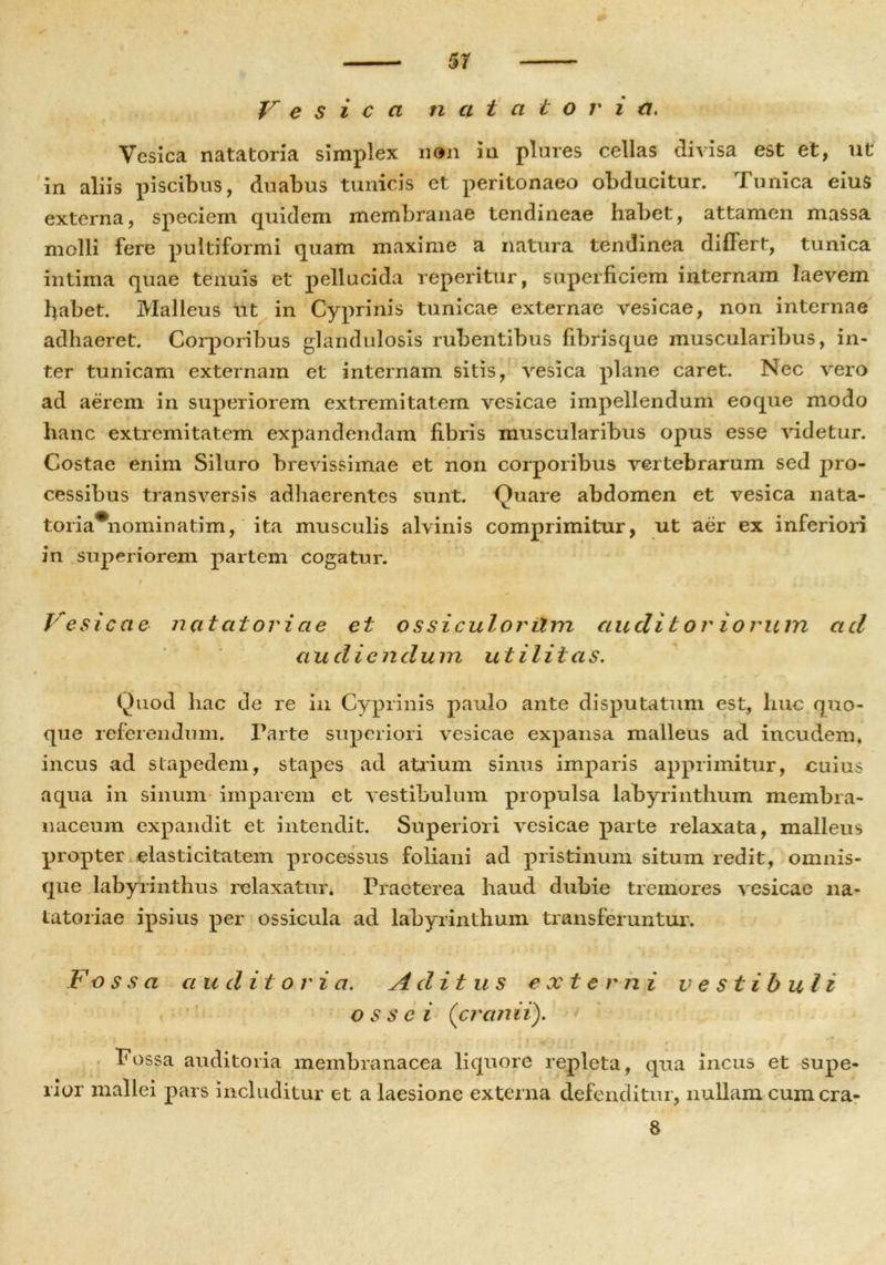 Vesica natatoria. Vesica natatoria simplex non ia plures cellas divisa est et, ut in aliis piscibus, duabus tunicis et peritonaeo obducitur. Tunica eius externa, speciem quidem membranae tendineae habet, attamen massa molli fere pultiformi quam maxime a natura tendinea differt, tunica intima quae tenuis et pellucida reperitur, superficiem internam laevem fiabet. Malleus ut in Cyprinis tunicae externae vesicae, non internae adhaeret. Corporibus glandulosis rubentibus fibrisque muscularibus, in- ter tunicam externam et internam sitis, vesica plane caret. Nec vero ad aerem in superiorem extremitatem vesicae impellendum eoque modo hanc extremitatem expandendam fibris muscularibus opus esse videtur. Costae enim Siluro brevissimae et non corporibus vertebrarum sed pro- cessibus transversis adhaerentes sunt. Quare abdomen et vesica nata- toria#nominatim, ita musculis alvinis comprimitur, ut aer ex inferiori in superiorem partem cogatur. i Vesicae natat ori ae et o ssiculorilm auditoriorum ad audiendum utilitas. Quod hac de re in Cyprinis paulo ante disputatum est, huc quo- que referendum. Parte superiori vesicae expansa malleus ad incudem* incus ad stapedem, stapes ad atrium sinus imparis apprimitur, cuius aqua in sinum imparem et vestibulum propulsa labyrinthum membra- naceum expandit et intendit. Superiori vesicae parte relaxata, malleus propter elasticitatem processus foliani ad pristinum situm redit, omnis- que labyrinthus relaxatur. Praeterea haud dubie tremores vesicae na- tatoriae ipsius per ossicula ad labyrinthum transferuntur. F ossa a u d i t o r i a. A d i tus e x t e r n i v e s tib ul i ossei (cranii). Fossa auditoria membranacea liquore repleta, qua incus et supe- rior mallei pars includitur et a laesione externa defenditur, nullam cumcra- 8