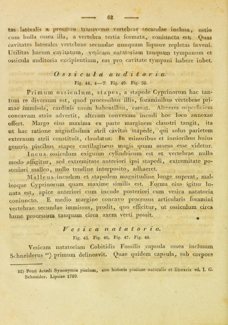 tas lateralis a processu transverso vertebrae secundae inclusa, ostio cum bulla ossea illa, a vertebra tertia formata, coniuncta est. Quas cavitates laterales vertebrae secundae nunquam liquore repletas inveni. Utilitas harum cavitatum, vesicam natatoriam tanquam tympanum et ossicula auditoria excipientium, eas pro cavitate tympani habere iubet. O s s i c u l a a u dito r i a. Fig. 44, 4—7. Fig. 49. Fig. 50. Primum ossiculum, stapes, a stapede Cyprinorum hac tan- tum re diversum est, quod processibus illis, foraminibus vertebrae pri- mae immissis, cardinis usum habentibus, carcat. Alteram superficiem concavam atrio advertit, alteram convexam incudi hoc loco annexae offert. Margo eius maxima ex parte marginem claustri tangit, ita ut hac ratione angustissima atrii cavitas stapede, qui solus parietem externum atrii constituit, claudatur. In minoribus et iunioribus huius generis piscibus stapes cartilagineus magis quam osseus esse videtur. Incus ossiculum exiguum cylindricum est et vertebrae nullo modo affigitur, sed extremitate anteriori ipsi stapedi, extremitate po- steriori malleo, nullo tendine interposito, adhaeret. Malleus incudem et stapedem magnitudine longe superat, mal- leoque Cyprinorum quam maxime similis est. Forma eius igitur lu- nata est, apice anteriori com incude posteriori cum vesica natatoria coniuncto. E medio margine concavo processus articularis foramini vertebrae secundae immissus, prodit, quo efficitur, ut ossiculum circa hunc processum, tanquam circa axem verti possit. ^ * . • Vesica natatori a. Fig. 45. Fig. 46, Fig. 47. Fig. 48. Vesicam natatoriam Cobitidis Fossilis capsula ossea inclusam Schneiderus 32) primum delineavit. Quae quidem capsula, sub corpore 32) Petri Arledi Synonymia piscium, sive historia piscium naturalis et literavia ed. I. G. Schneider. Lipsiae 1789.