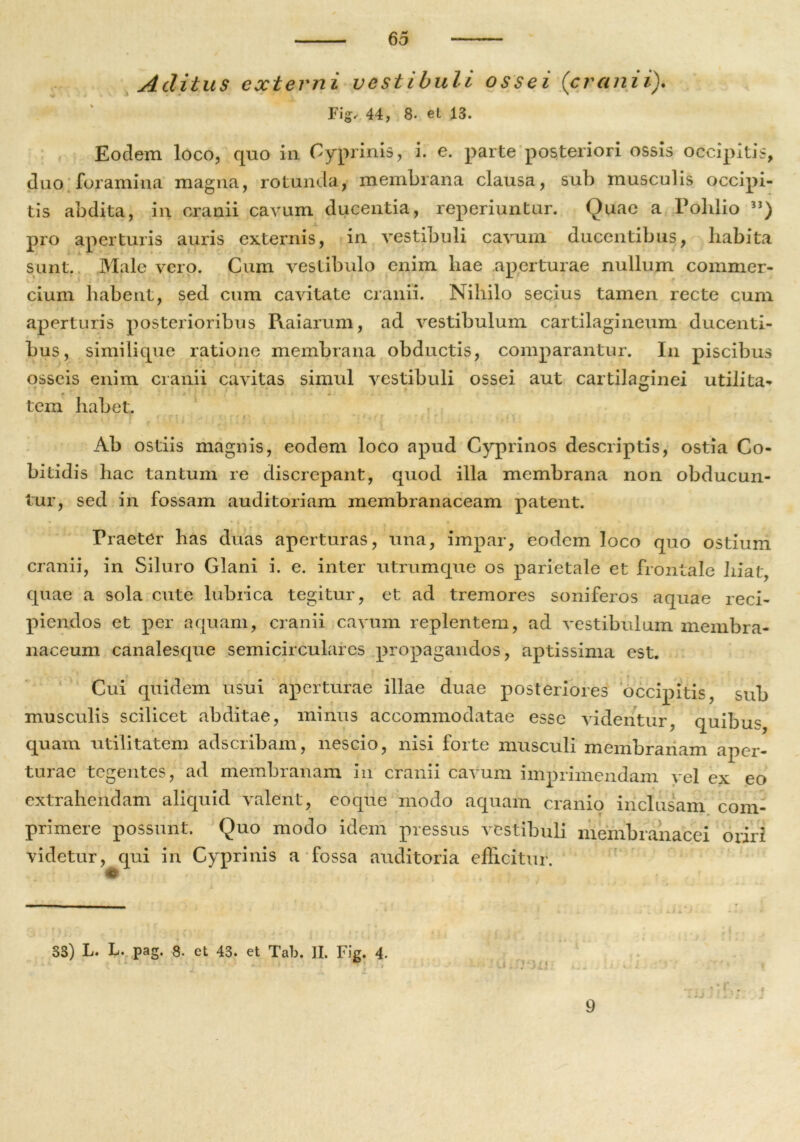 Aditus externi vestibuli ossei (cranii). % « N r F\g, 44, 8. et 13. Eodem loco, quo in Cyprinis, i. e. parte posteriori ossis occipitis, duo foramina magna, rotunda, membrana clausa, sub musculis occipi- tis abdita, in cranii cavum ducentia, reperiuntur. Quae a Polilio 3I) pro aperturis auris externis, in vestibuli cavum ducentibus, habita sunt. Male vero. Cum vestibulo enim hae aperturae nullum commer- cium habent, sed cum cavitate cranii. Nihilo secius tamen recte cum aperturis posterioribus Raiarum, ad vestibulum cartilagineum ducenti- bus, similique ratione membrana obductis, comparantur. In piscibus osseis enim cranii cavitas simul vestibuli ossei aut cartilaginei utilita* • i ~ tem habet. Ab ostiis magnis, eodem loco apud Cyprinos descriptis, ostia Co- bitidis hac tantum re discrepant, quod illa membrana non obducun- tur, sed in fossam auditoriam membranaceam patent. Praeter has duas aperturas, una, impar, eodem loco quo ostium cranii, in Siluro Clani i. e. inter utrumque os parietale et frontale hiat, quae a sola cute lubrica tegitur, et ad tremores soniferos aquae reci- piendos et per aquam, cranii cavum replentem, ad vestibulum membra- naceum canalesque semicirculares propagandos, aptissima est. Cui quidem usui aperturae illae duae posteriores occipitis, sub musculis scilicet abditae, minus accommodatae esse videntur, quibus quam utilitatem adseribam, nescio, nisi forte musculi membranam aper- turae tegentes, ad membranam in cranii cavum imprimendam vel ex eo extrahendam aliquid valent, eoque modo aquam cranio inclusam com- primere possunt. Quo modo idem pressus vestibuli membranacei oriri videtur, qui in Cyprinis a fossa auditoria efficitur. 33) L. L. pag. 8- et 43. et Tab. II. Fig. 4. 9