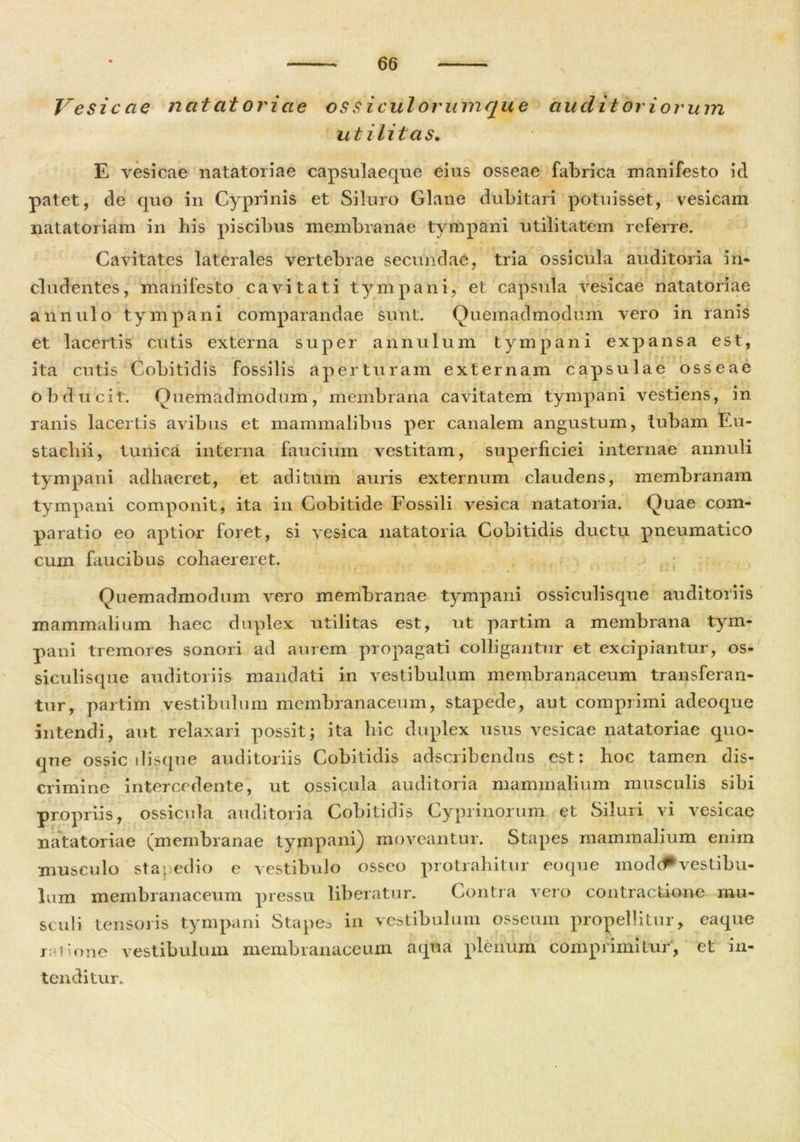 Vesicae nat at oriae os s iculorumque utilitas. auditoriorum E vesicae natatoriae capsulaeque eius osseae fabrica manifesto id patet, de quo in Cyprinis et Siluro Glane dubitari potuisset, vesicam natatoriam in his piscibus membranae tympani utilitatem referre. Cavitates laterales vertebrae secundae, tria ossicula auditoria in* eludentes, manifesto cavitati tympani, et capsula vesicae natatoriae annulo tympani comparandae sunt. Quemadmodum vero in ranis et lacertis cutis externa super annuium tympani expansa est, ita cutis Cobitidis fossilis aperturam externam capsulae osseae obducit. Quemadinodum, membrana cavitatem tympani vestiens, in ranis lacertis avibus et mammalibus per canalem angustum, tubam En- stacliii, tunica interna faucium vestitam, superficiei internae annuli tympani adhaeret, et aditum auris externum claudens, membranam tympani componit, ita in Cobitide Fossili vesica natatoria. Quae com- paratio eo aptior foret, si vesica natatoria Cobitidis ductu pneumatico cum faucibus cohaereret. Quemadmodum vero membranae tympani ossiculisque auditoriis mammalium haec duplex utilitas est, ut partim a membrana tym- pani tremores sonori ad aurem propagati colligantur et excipiantur, os- siculisque auditoriis mandati in vestibulum membranaceum transferan- tur, partim vestibulum membranaceum, stapede, aut comprimi adeoque intendi, aut relaxari possit; ita hic duplex usus vesicae natatoriae quo- que ossic disque auditoriis Cobitidis adseribendus est: hoc tamen dis- crimine intercedente, ut ossicula auditoria mammalium musculis sibi propriis, ossicula auditoria Cobitidis Cyprinorum et Siluri vi vesicae natatoriae (membranae tympani) moveantur. Stapes mammalium enim musculo stapedio e vestibulo osseo protrahitur eoque inodcTvestibu- lum membranaceum pressu liberatur. Contra vero contractione mu- sculi tensoris tympani Stapeo in vestibulum osseum propellitur, eaque ratione vestibulum membranaceum aqua plenum comprimitur, et in- tenditur.