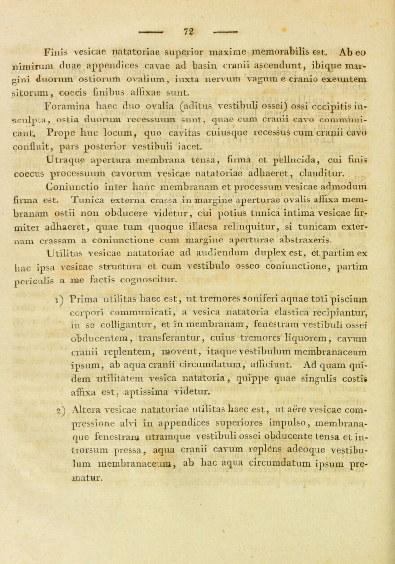 Finis vesicae natatoriae superior maxime memorabilis est. Ab eo nimirum duae appendices cavae ad basin cranii ascendunt, ibique mar- gini duorum ostiorum ovalium, iuxta nervum vagum e cranio exeuntem sitorum, coccis finibus affixae sunt. Foramina haec duo ovalia (aditus vestibuli ossei) ossi occipitis in- sculpta, ostia duorum recessuum sunt, quae cum cranii cavo communi- cant, Prope huc locum, quo cavitas cuiusque recessus cum cranii cavo confluit, pars posterior vestibuli i acet. Utraque apertura membrana tensa, firma et pellucida, cui finis coecus processuum cavorum vesicae natatoriae adhaeret, clauditur. Coniunctio inter hanc membranam et processum vesicae admodum firma est. Tunica externa crassa in margine aperturae ovalis affixa mem- branam ostii non obducere videtur, cui potius tunica intima vesicae fir- miter adhaeret, quae tum quoque illaesa relinquitur, si tunicam exter- nam crassam a coniunctione cum margine aperturae abstraxeris. Utilitas vesicae natatoriae ad audiendum duplex est, etpartimex hac ipsa vesicae structura et cum vestibulo osseo coniunctione, partim periculis a me factis cognoscitur. 1) Prima utilitas haec est, ut tremores soni feri aquae toti piscium corpori communicati, a vesica natatoria elastica recipiantur, in se colligantur, et in membranam , fenestram vestibuli ossei obducentem, transferantur, cuius tremores liquorem, cavum cranii replentem, movent, itaque vestibulum membranaceum ipsum, ab aqua cranii circumdatum, afficiunt. Ad quam qui- dem utilitatem vesica natatoria, quippe quae singulis costis affixa est, aptissima videtur. 2) Altera vesicae natatoriae utilitas haec est, ut aere vesicae com- pressione alvi in appendices superiores impulso, membrana- que fenestram utramque vestibuli ossei obducente tensa et in- trorsum pressa, aqua cranii cavum replens adeoque vestibu- lum membranaceum, ab hac aqua circumdatum ipsum pre- matur.