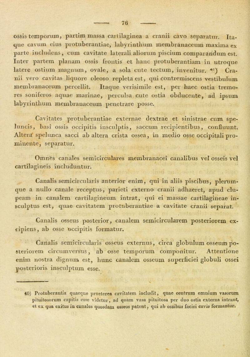 ossis temporum, partim massa cartilaginea a cranii cavo separatur. Ita- que cavum eius protuberandae, labyrinthum membranaceum maxima ex parte includens, cum cavitate laterali aliorum piscium comparandum est. Inter partem planam ossis frontis et hanc protuberandam in utroque latere ostium magnum, ovale, a sola cute tectum, invenitur. 40) Cra- nii vero cavitas liquore oleoso repleta est, qui contremiscens vestibulum membranaceum percellit. Itaque verisimile est, per haec ostia tremo- res soniferos aquae marinae, perculsa cute ostia obducente, ad ipsum labyrinthum membranaceum penetrare posse. Cavitates protuberandae externae dextrae et sinistrae cum spe- luncis, basi ossis occipitis insculptis, saccum recipientibus, confluunt. Altera spelunca sacci ab altera crista ossea, in medio osse occipitali pro- minente, separatur. Omnfes canales semicirculares membranacei canalibus vel osseis vel cartilagineis includuntur. * \ f f «; i {i. Canalis semicircularis anterior enim, qui in aliis piscibus, plerum- que a nullo canale receptus, parieti externo cranii adhaeret, apud clu- peam in canalem cartilagineum intrat, qui ei massae cartilagineae in- sculptus est, quae cavitatem protuberandae a cavitate cranii separat. •* • 1 > 0 * * • tT' % Canalis osseus posterior, canalem semicircularem posteriorem ex- cipiens, ab osse occipitis formatur. Canalis semicircularis osseus externus, circa globulum osseum po- steriorem circumversus, ab osse temporum componitur. Attentione enim nostra dignum est, hunc canalem osseum superficiei globuli ossei posterioris, insculptum esse. 40) Protuberantia quaeque praeterea cavitatem includit, quae centrum omnium vasorum pituitosorum capitis esse videtur, ad quam vasa pituitosa per duo ostia externa intrant, et ex qua exitus in canales quosdam osseos patent, qui ab ossibus faciei cavis formantur. )