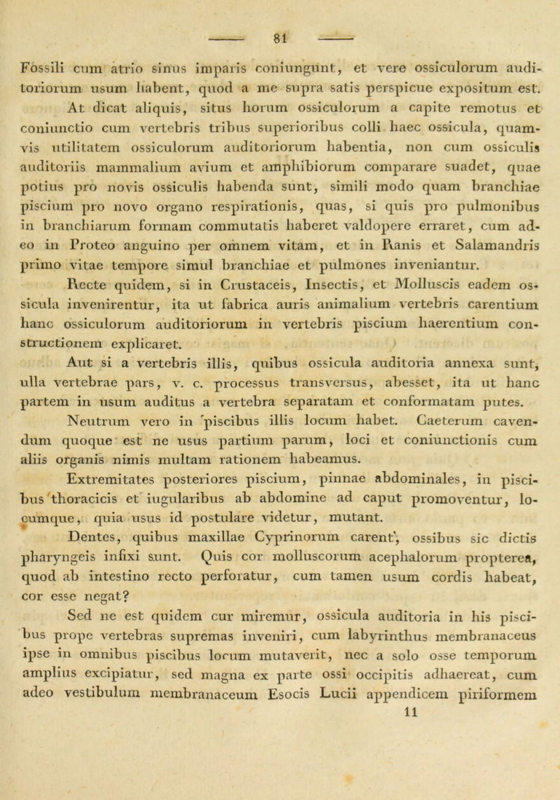 Fossili cum atrio sinus imparis coniungunt, et vere ossiculorum audi- toriorum usum habent, quod a me supra satis perspicue expositum est. At dicat aliquis, situs horum ossiculorum a capite remotus et coniunctio cum vertebris tribus superioribus colli haec ossicula, quam- vis utilitatem ossiculorum auditoriorum habentia, non cum ossiculis auditoriis mammalium avium et amphibiorum comparare suadet, quae potius pro novis ossiculis habenda sunt, simili modo quam branchiae piscium pro novo organo respirationis, quas, si quis pro pulmonibus in branchiarum formam commutatis haberet valdopere erraret, cum ad- eo in Proteo anguino per omnem vitam, et in Ranis et Salamandris primo vitae tempore simul branchiae et pulmones inveniantur. Fvecte quidem, si in Crustaceis, Insectis, et Molluscis eadem os- sicula invenirentur, ita ut fabrica auris animalium vertebris carentium hanc ossiculorum auditoriorum in vertebris piscium haerentium con- structionem explicaret. Aut si a vertebris illis, quibus ossicula auditoria annexa sunt, ulla vertebrae pars, v. c. processus transversus, abesset, ita ut hanc partem in usum auditus a vertebra separatam et conformatam putes. Neutrum vero in piscibus iliis locum habet. Caeterum caven- dum quoque est ne usus partium parum, loci et coniunctionis cum aliis organis nimis multam rationem habeamus. Extremitates posteriores piscium, pinnae abdominales, in pisci- bus thoracicis et iugularibus ab abdomine ad caput promoventur, lo- cumque, quia usus id postulare videtur, mutant. Dentes, quibus maxillae Cyprinorum carent', ossibus sic dictis pharyngeis infixi sunt. Quis cor molluscorum acephalorum propterea, quod ab intestino recto perforatur, cum tamen usum cordis habeat, cor esse negat? Sed ne est quidem cur miremur, ossicula auditoria in his pisci- bus prope vertebras supremas inveniri, cum labyrinthus membranaceus ipse in omnibus piscibus locum mutaverit, nec a solo osse temporum amplius excipiatur, sed magna ex parte ossi occipitis adhaereat, cum adeo vestibulum membranaceum Esocis Lucii appendicem piriformem 11 ' . ’ ) ■