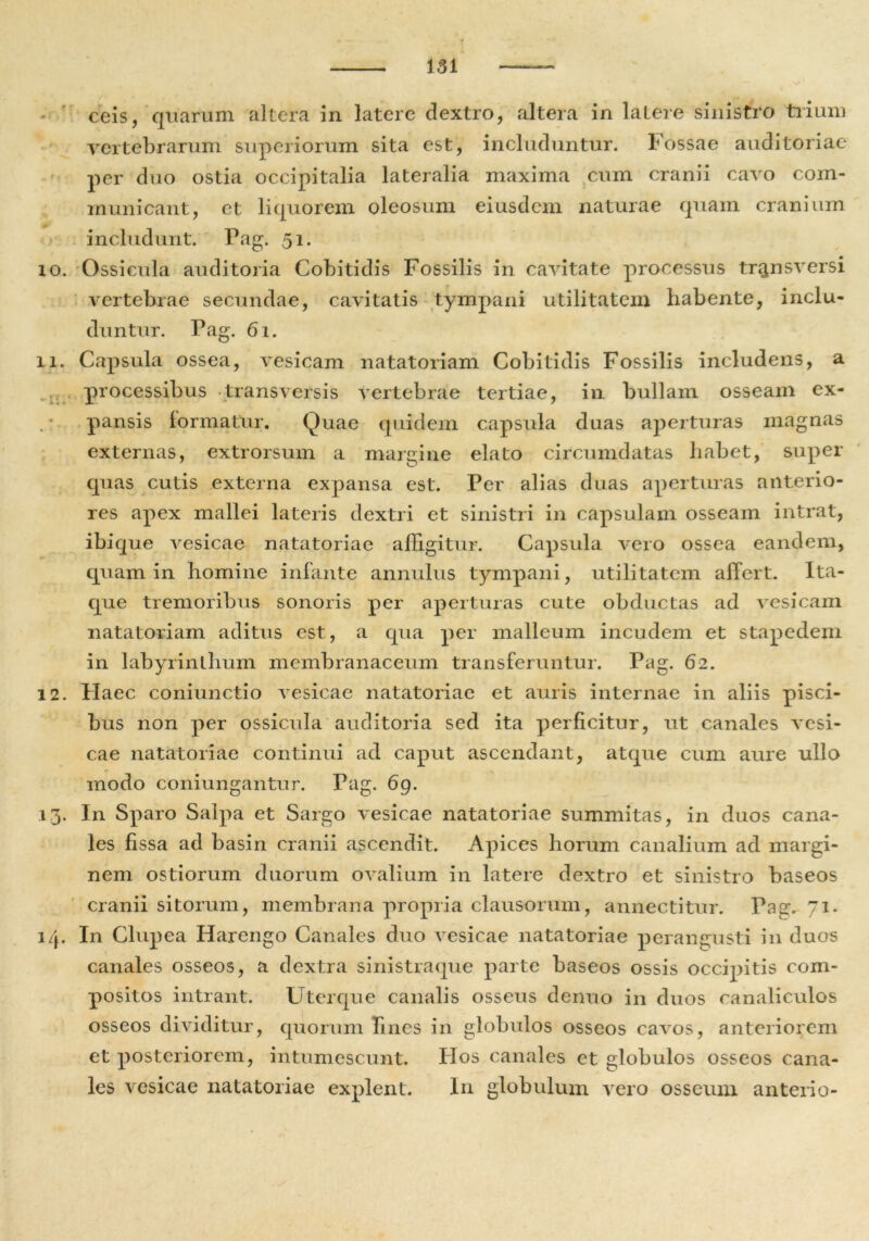 ceis, quarum altera in latere dextro, altera in latere sinistro trium vertebrarum superiorum sita est, includuntur. Fossae auditoriae per duo ostia occipitalia lateralia maxima cum cranii cavo com- municant, et liquorem oleosum eiusdem naturae quam cranium incli idunt. Pag. 51. 10. Ossicula auditoria Cobitidis Fossilis in cavitate processus transversi vertebrae secundae, cavitatis tympani utilitatem habente, inclu- duntur. Pag. 61. 11. Capsula ossea, vesicam natatoriam Cobitidis Fossilis includens, a processibus transversis vertebrae tertiae, in bullam osseam ex- pansis formatur. Quae quidem capsula duas aperturas magnas externas, extrorsum a margine elato circumdatas liabet, super quas cutis externa expansa est. Per alias duas aperturas anterio- res apex mallei lateris dextri et sinistri in capsulam osseam intrat, ibique vesicae natatoriae affigitur. Capsula vero ossea eandem, quam in homine infante annulus tympani, utilitatem affert. Ita- que tremoribus sonoris per aperturas cute obductas ad vesicam natatoriam aditus est, a qua per malleum incudem et stapedem in labyrinthum membranaceum transferuntur. Pag. 62. 12. Haec coniunctio vesicae natatoriae et auris internae in aliis pisci- bus non per ossicula auditoria sed ita perficitur, ut canales vesi- cae natatoriae continui ad caput ascendant, atque cum aure ullo modo coniungantur. Pag. 69. 13. In Sparo Salpa et Sargo vesicae natatoriae summitas, in duos cana- les fissa ad basin cranii ascendit. Apices horum canalium ad margi- nem ostiorum duorum ovalium in latere dextro et sinistro baseos cranii sitorum, membrana propria clausorum, annectitur. Pag. 71. 14. In Clupea Harengo Canales duo vesicae natatoriae perangusti in duos canales osseos, a dextra sinistra que parte baseos ossis occipitis com- positos intrant. Uterque canalis osseus denuo in duos canaliculos osseos dividitur, quorum fines in globulos osseos cavos, anteriorem et posteriorem, intumescunt. Hos canales et globulos osseos cana- les vesicae natatoriae explent. In globulum vero osseum anteiio-