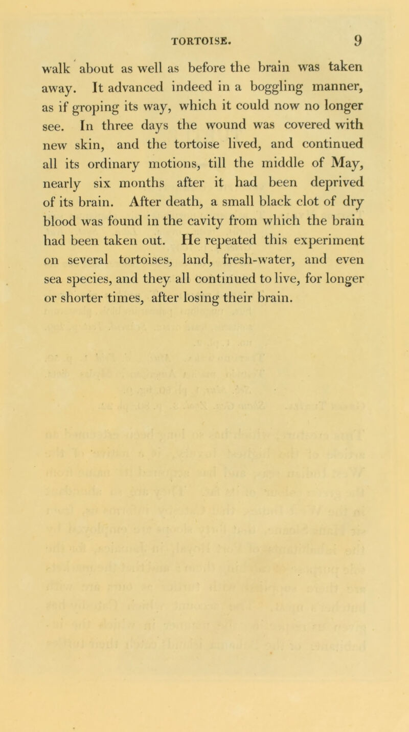 walk about as well as before the brain was taken away. It advanced indeed in a boggling manner, as if groping its way, which it could now no longer see. In three days the wound was covered with new skin, and the tortoise lived, and continued all its ordinary motions, till the middle of May, nearly six months after it had been deprived of its brain. After death, a small black clot of dry blood was found in the cavity from which the brain had been taken out. He repeated this experiment on several tortoises, land, fresh-water, and even sea species, and they all continued to live, for longer or shorter times, after losing their brain.