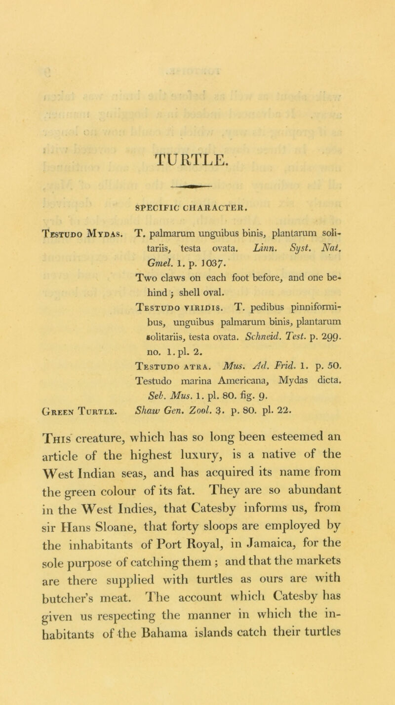 TURTLE. SPECIFIC CHARACTER. Testudo Mydas. T. palmaram unguibus binis, plantarum soli- tariis, testa ovata. Linn. Syst. Nat. Gmel. 1. p. 1037. Two claws on each foot before, and one be- hind ; shell oval. Testudo viridis. T. pedibus pinniformi- bus, unguibus palmarum binis, plantarum eolitariis, testa ovata. Sckneid. Test. p. 2gg. no. 1. pi. 2. Testudo atra. Mus. Ad. Frid. 1. p. 50. Testudo marina Americana, Mydas dicta. Sel. Mus. 1. pi. 80. fig. 9. Green Turtle. Shaw Gen. Zool. 3* p. 80. pi. 22. This creature, which has so long been esteemed an article of the highest luxury, is a native of the West Indian seas, and has acquired its name from the green colour of its fat. They are so abundant in the West Indies, that Catesby informs us, from sir Hans Sloane, that forty sloops are employed by the inhabitants of Port Royal, in Jamaica, for the sole purpose of catching them ; and that the markets are there supplied with turtles as ours are with butcher’s meat. The account which Catesby has given us respecting the manner in which the in- habitants of the Bahama islands catch their turtles