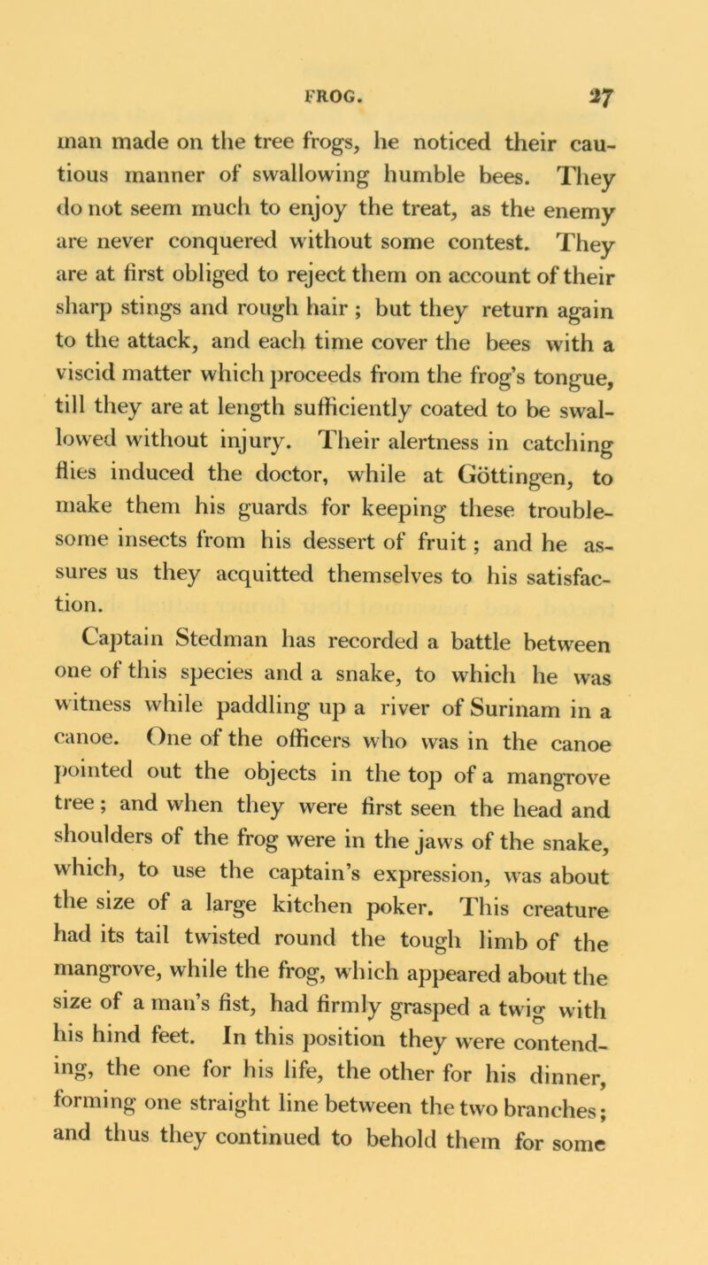 man made on the tree frogs, he noticed their cau- tious manner of swallowing humble bees. They do not seem much to enjoy the treat, as the enemy are never conquered without some contest. They are at first obliged to reject them on account of their sharp stings and rough hair ; but they return again to the attack, and each time cover the bees with a viscid matter which proceeds from the frog’s tongue, till they are at length sufficiently coated to be swal- lowed without injury. Their alertness in catching flies induced the doctor, while at Gottingen, to make them his guards for keeping these trouble- some insects from his dessert of fruit; and he as- sures us they acquitted themselves to his satisfac- tion. Captain Stedman has recorded a battle between one of this species and a snake, to which he was witness while paddling up a river of Surinam in a canoe. One of the officers who was in the canoe pointed out the objects in the top of a mangrove tree; and when they were first seen the head and shoulders of the frog were in the jaws of the snake, which, to use the captain’s expression, was about the size of a large kitchen poker. This creature had its tail twisted round the tough limb of the mangrove, while the frog, which appeared about the size of a man’s fist, had firmly grasped a twig with his hind feet. In this position they were contend- ing, the one for his life, the other for his dinner, forming one straight line between the two branches; and thus they continued to behold them for some