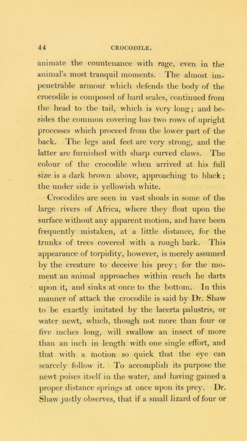 animate the countenance with rage, even in the animal’s most tranquil moments. The almost im- penetrable armour which defends the body of the crocodile is composed of hard scales, continued from the head to the tail, which is very long; and be- sides the common covering has two rows of upright processes which proceed from the lower part of the back. The legs and feet are very strong, and the latter are furnished with sharp curved claws. The colour of the crocodile when arrived at his full size is a dark brown above, approaching to black; the under side is yellowish white. Crocodiles are seen in vast shoals in some of the large rivers of Africa, where they float upon the surface without any apparent motion, and have been frequently mistaken, at a little distance, for the trunks of trees covered with a rough bark. This appearance of torpidity, however, is merely assumed by the creature to deceive his prey; for the mo- ment an animal approaches within reach he darts upon it, and sinks at once to the bottom. In this manner of attack the crocodile is said by Dr. Shaw to be exactly imitated by the lacerta palustris, or water newt, which, though not more than four or five inches long, will swallow an insect of more than an inch in length with one single effort, and that with a motion so quick that the eye can scarcely follow it. To accomplish its purpose the newt poises itself in the water, and having gained a proper distance springs at once upon its prey. Dr. Shaw justly observes, that if a small lizard of four or