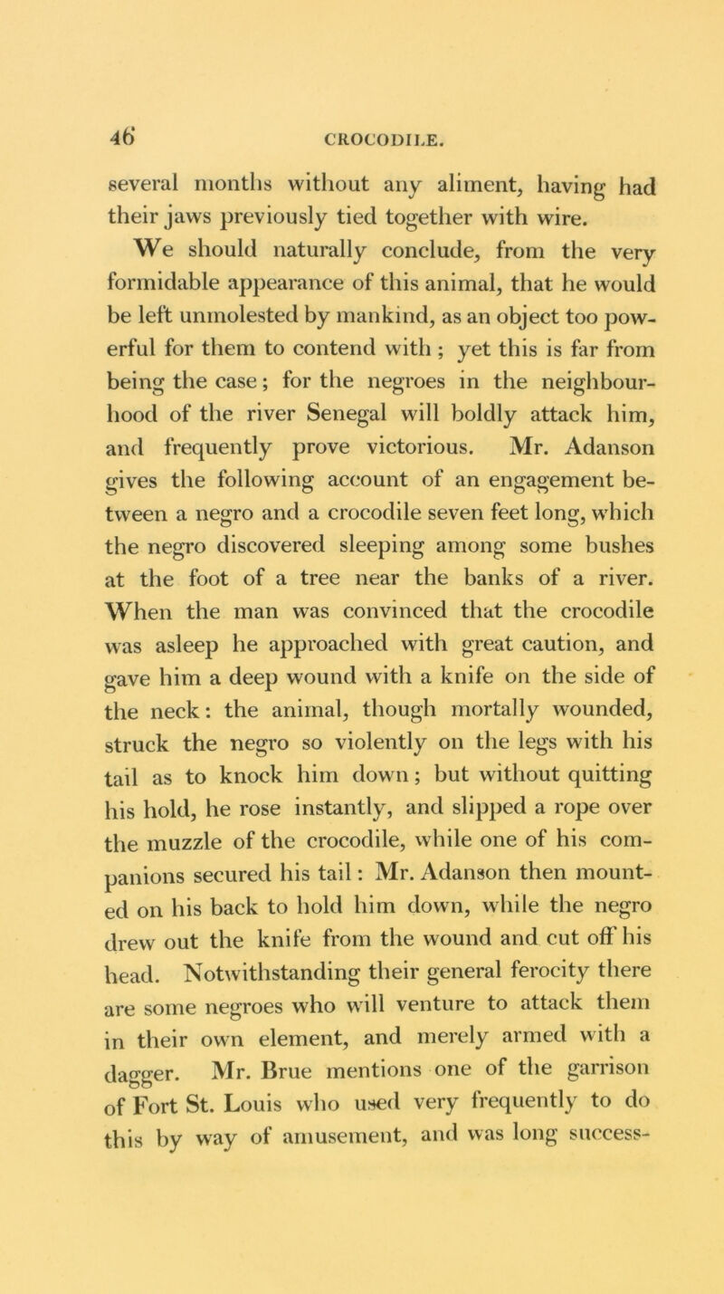46* several months without any aliment, having had their jaws previously tied together with wire. We should naturally conclude, from the very formidable appearance of this animal, that he would be left unmolested by mankind, as an object too pow- erful for them to contend with ; yet this is far from being the case; for the negroes in the neighbour- hood of the river Senegal will boldly attack him, and frequently prove victorious. Mr. Adanson gives the following account of an engagement be- tween a negro and a crocodile seven feet long, which the negro discovered sleeping among some bushes at the foot of a tree near the banks of a river. When the man was convinced that the crocodile was asleep he approached with great caution, and gave him a deep wound with a knife on the side of the neck: the animal, though mortally wounded, struck the negro so violently on the legs with his tail as to knock him down; but without quitting his hold, he rose instantly, and slipped a rope over the muzzle of the crocodile, while one of his com- panions secured his tail: Mr. Adanson then mount- ed on his back to hold him down, while the negro drew out the knife from the wound and cut off his head. Notwithstanding their general ferocity there are some negroes who will venture to attack them in their own element, and merely armed with a dagger. Mr. Brue mentions one of the garrison of Fort St. Louis who used very frequently to do this by way of amusement, and was long success-