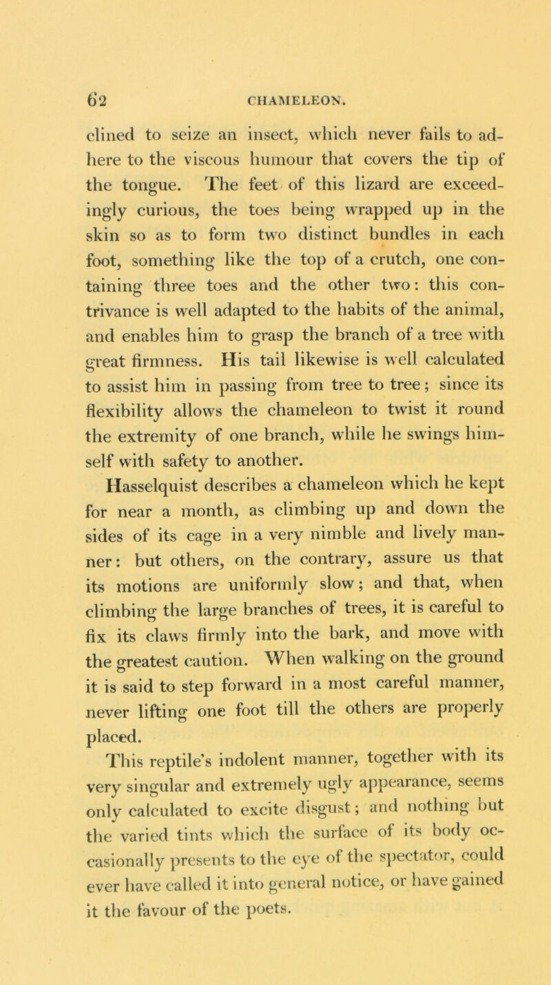 dined to seize an insect, which never fails to ad- here to the viscous humour that covers the tip of the tongue. The feet of this lizard are exceed- ingly curious, the toes being wrapped up in the skin so as to form two distinct bundles in each foot, something like the top of a crutch, one con- taining; three toes and the other two: this con- trivance is well adapted to the habits of the animal, and enables him to grasp the branch of a tree with great firmness. His tail likewise is well calculated to assist him in passing from tree to tree; since its flexibility allows the chameleon to twist it round the extremity of one branch, while he swings him- self with safety to another. Hasselquist describes a chameleon which he kept for near a month, as climbing up and down the sides of its cage in a very nimble and lively man- ner: but others, on the contrary, assure us that its motions are uniformly slow; and that, when climbing the large branches of trees, it is careful to fix its claws firmly into the bark, and move with the greatest caution. When walking on the ground it is said to step forward in a most careful manner, never lifting one foot till the others are properly placed. This reptiles indolent manner, together with its very singular and extremely ugly appearance, seems only calculated to excite disgust; and nothing but the varied tints which the surface of its body oc- casionally presents to the eye of the spectator, could ever have called it into general notice, oi have gained it the favour of the poets.