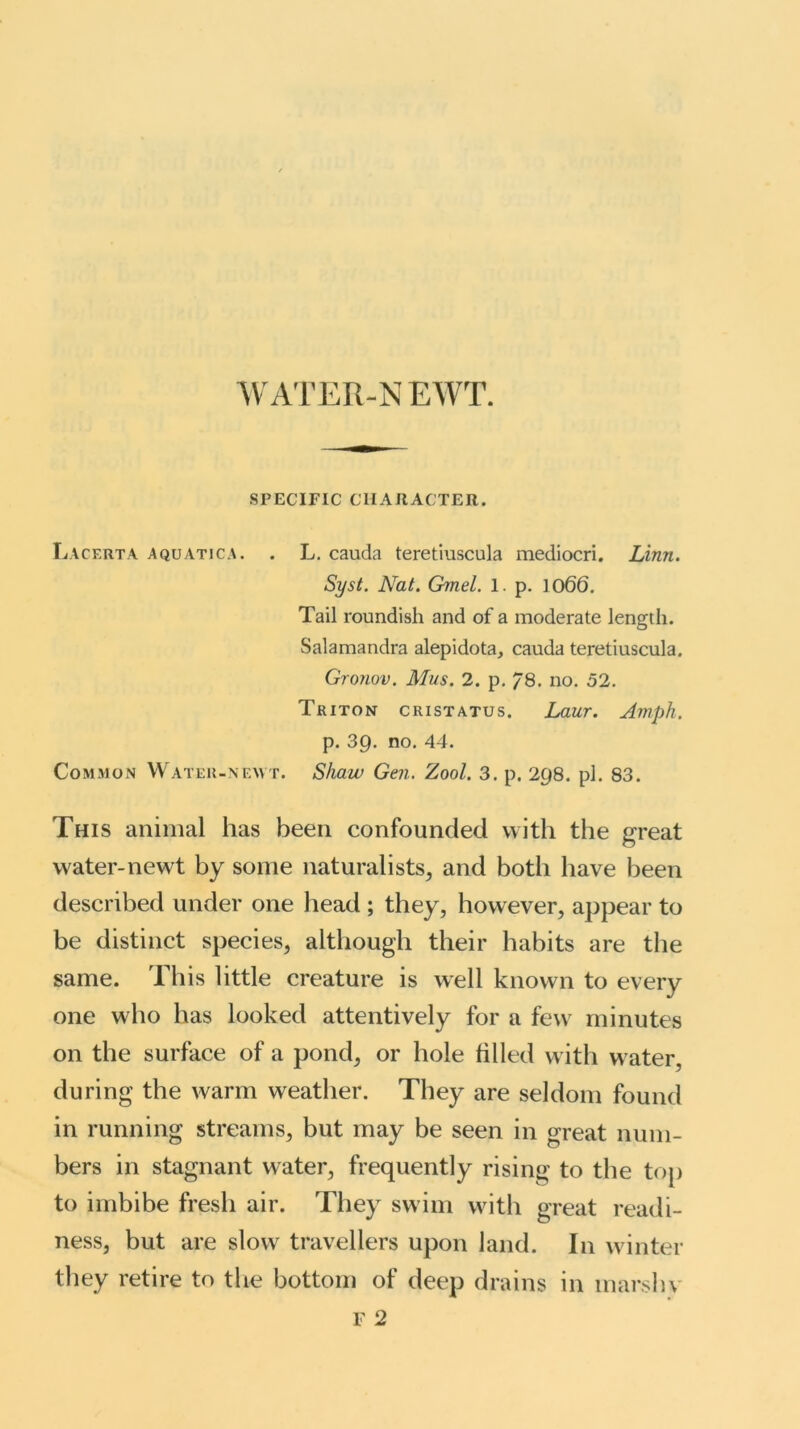 WATER-N EWT. SPECIFIC CHARACTER. Lacerta aquatica. . L. cauda teretiuscula mediocri. Linn. Syst. Nat. Gmel. 1. p. 1066. Tail roundish and of a moderate length. Salamandra alepidota, cauda teretiuscula. Gronov. Mus. 2. p. /8. no. 52. Triton cristatus. Laur. Amph. p. 39. no. 44. Common Water-newt. Shaw Gen. Zool. 3. p. 298. pi. 83. This animal has been confounded with the great water-newt by some naturalists, and both have been described under one head ; they, however, appear to be distinct species, although their habits are the same. This little creature is well known to every one who has looked attentively for a few minutes on the surface of a pond, or hole filled with w ater, during the warm weather. They are seldom found in running streams, but may be seen in great num- bers in stagnant water, frequently rising to the top to imbibe fresh air. They swim with great readi- ness, but are slow travellers upon land. In winter they retire to the bottom of deep drains in marshy