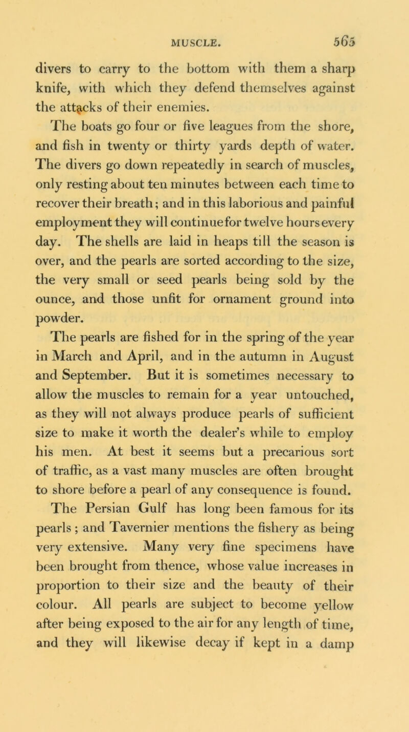 56j divers to carry to the bottom with them a sharp knife, with which they defend themselves against the attacks of their enemies. The boats go four or five leagues from the shore, and fish in twenty or thirty yards depth of water. The divers go down repeatedly in search of muscles, only resting about ten minutes between each time to recover their breath; and in this laborious and painful employment they will continuefor twelve hours every day. The shells are laid in heaps till the season is over, and the pearls are sorted according to the size, the very small or seed pearls being sold by the ounce, and those unfit for ornament ground into The pearls are fished for in the spring of the year in March and April, and in the autumn in August and September. But it is sometimes necessary to allow the muscles to remain for a year untouched. %j * as they will not always produce pearls of sufficient size to make it worth the dealer’s while to employ his men. At best it seems but a precarious sort of traffic, as a vast many muscles are often brought to shore before a pearl of any consequence is found. The Persian Gulf has long been famous for its pearls; and Tavernier mentions the fishery as being very extensive. Many very fine specimens have been brought from thence, whose value increases in proportion to their size and the beauty of their colour. All pearls are subject to become yellow after being exposed to the air for any length of time, and they will likewise decay if kept in a damp