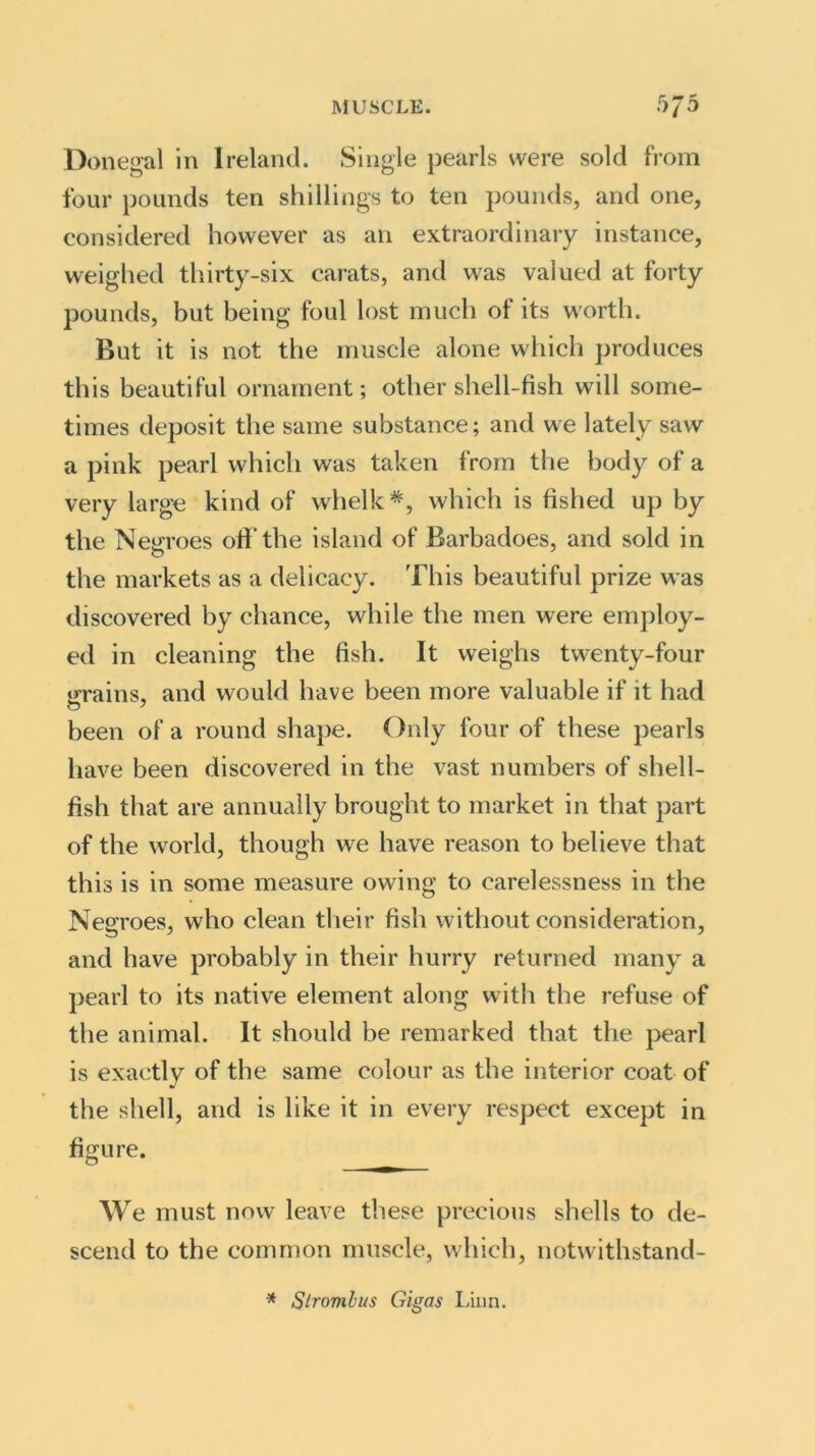 Donegal in Ireland. Single pearls were sold from four pounds ten shillings to ten pounds, and one, considered however as an extraordinary instance, weighed thirty-six carats, and was valued at forty pounds, but being foul lost much of its worth. But it is not the muscle alone which produces this beautiful ornament; other shell-fish will some- times deposit the same substance; and we lately saw a pink pearl which was taken from the body of a very large kind of whelk*, which is fished up by the Negroes off’the island of Barbadoes, and sold in the markets as a delicacy. This beautiful prize was discovered by chance, while the men were employ- ed in cleaning the fish. It weighs twenty-four grains, and would have been more valuable if it had been of a round shape. Only four of these pearls have been discovered in the vast numbers of shell- fish that are annually brought to market in that part of the world, though we have reason to believe that this is in some measure owing to carelessness in the Negroes, who clean their fish without consideration, and have probably in their hurry returned many a pearl to its native element along with the refuse of the animal. It should be remarked that the pearl is exactly of the same colour as the interior coat of the shell, and is like it in every respect except in figure. We must now leave these precious shells to de- scend to the common muscle, which, notwithstand- * Strombus Gigas Linn.