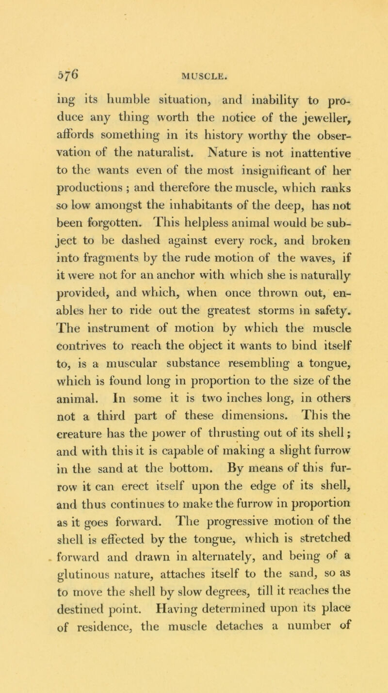 ing its humble situation, and inability to pro- duce any thing worth the notice of the jeweller, affords something in its history worthy the obser- vation of the naturalist. Nature is not inattentive to the wants even of the most insignificant of her productions ; and therefore the muscle, which ranks so low amongst the inhabitants of the deep, has not been forgotten. This helpless animal would be sub- ject to be dashed against every rock, and broken into fragments by the rude motion of the waves, if it were not for an anchor with which she is naturally provided, and which, when once thrown out, en- ables her to ride out the greatest storms in safety. The instrument of motion by which the muscle contrives to reach the object it wants to bind itself to, is a muscular substance resembling a tongue, which is found long in proportion to the size of the animal. In some it is two inches long, in others not a third part of these dimensions. This the creature has the power of thrusting out of its shell; and with this it is capable of making a slight furrow in the sand at the bottom. By means of this fur- row it can erect itself upon the edge of its shell, and thus continues to make the furrow in proportion as it goes forward. The progressive motion of the shell is effected by the tongue, which is stretched forward and drawn in alternately, and being of a glutinous nature, attaches itself to the sand, so as to move the shell by slow degrees, till it reaches the destined point. Having determined upon its place of residence, the muscle detaches a number of