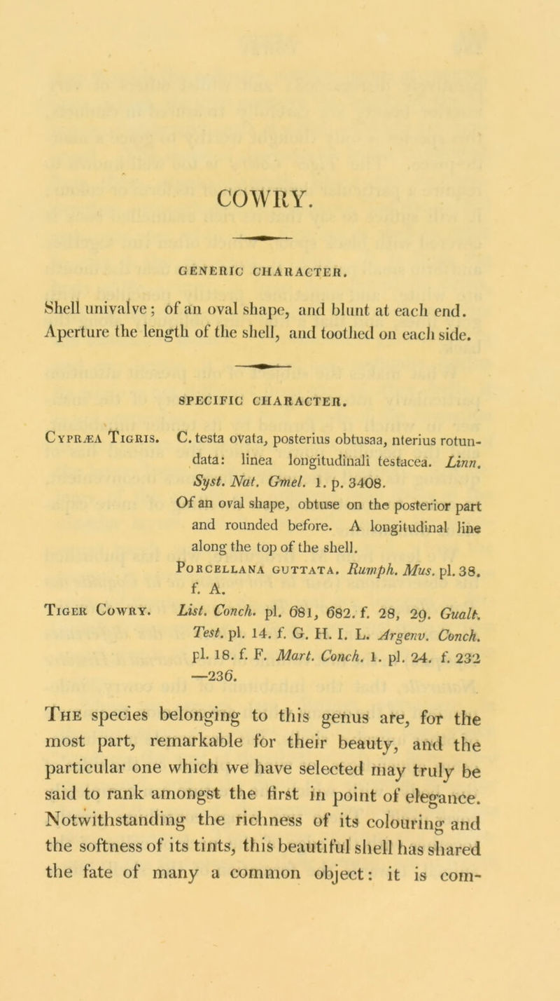COWRY. GENERIC CHARACTER. Shell univalve; of an oval shape, and blunt at each end. Aperture the length of the shell, and toothed on each side. SPECIFIC CHARACTER. CyprjEA Tigris. C. testa ovata, posterius obtusaa, nterius rotun- data: linea longitudinali testacea. Linn. Syst.Nat. Gmel. l.p. 3408. Of an oval shape, obtuse on the posterior part and rounded before. A longitudinal line along the top of the shell. PORCELLANA GUTTATA. Rumph. MUS. pi. 38. f. A. Tiger Cowry. List. Conch, pi. 681, 682. f. 28, 2Q. Gualt. Test. pi. 14. f. G. H. I. L. Argenv. Conch. pi. 18. f. F. Mart. Conch. 1. pi. 24. f. 232 —236. The species belonging to this genus are, for the most part, remarkable for their beauty, and the particular one which we have selected may trulv be said to rank amongst the first in point of elegance. Notwithstanding the richness of its colouring1 and the softness of its tints, this beautiful shell has shared the fate of many a common object: it is com-