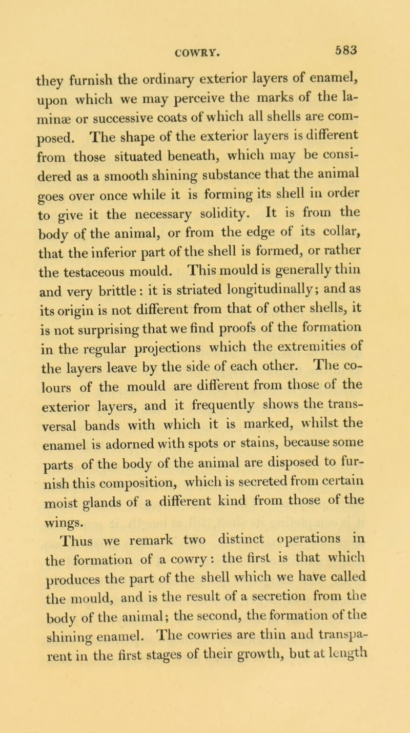 they furnish the ordinary exterior layers of enamel, upon which we may perceive the marks of the la- minae or successive coats of which all shells are com- posed. The shape of the exterior layers is different from those situated beneath, which may be consi- dered as a smooth shining substance that the animal goes over once while it is forming its shell in order to give it the necessary solidity. It is from the body of the animal, or from the edge of its collar, that the inferior part of the shell is formed, or rather the testaceous mould. This mould is generally thin and very brittle : it is striated longitudinally; and as its origin is not different from that of other shells, it is not surprising that we find proofs of the formation in the regular projections which the extremities of the layers leave by the side of each other. The co- lours of the mould are different from those of the exterior layers, and it frequently shows the trans- versal bands with which it is marked, whilst the enamel is adorned with spots or stains, because some parts of the body of the animal are disposed to fur- nish this composition, which is secreted from certain moist glands of a different kind from those of the wings. Thus we remark two distinct operations in the formation of a cowry: the first is that which produces the part of the shell which we have called the mould, and is the result of a secretion from the body of the animal; the second, the formation of the shining enamel. The cowries are thin and transpa- rent in the first stages of their growth, but at length