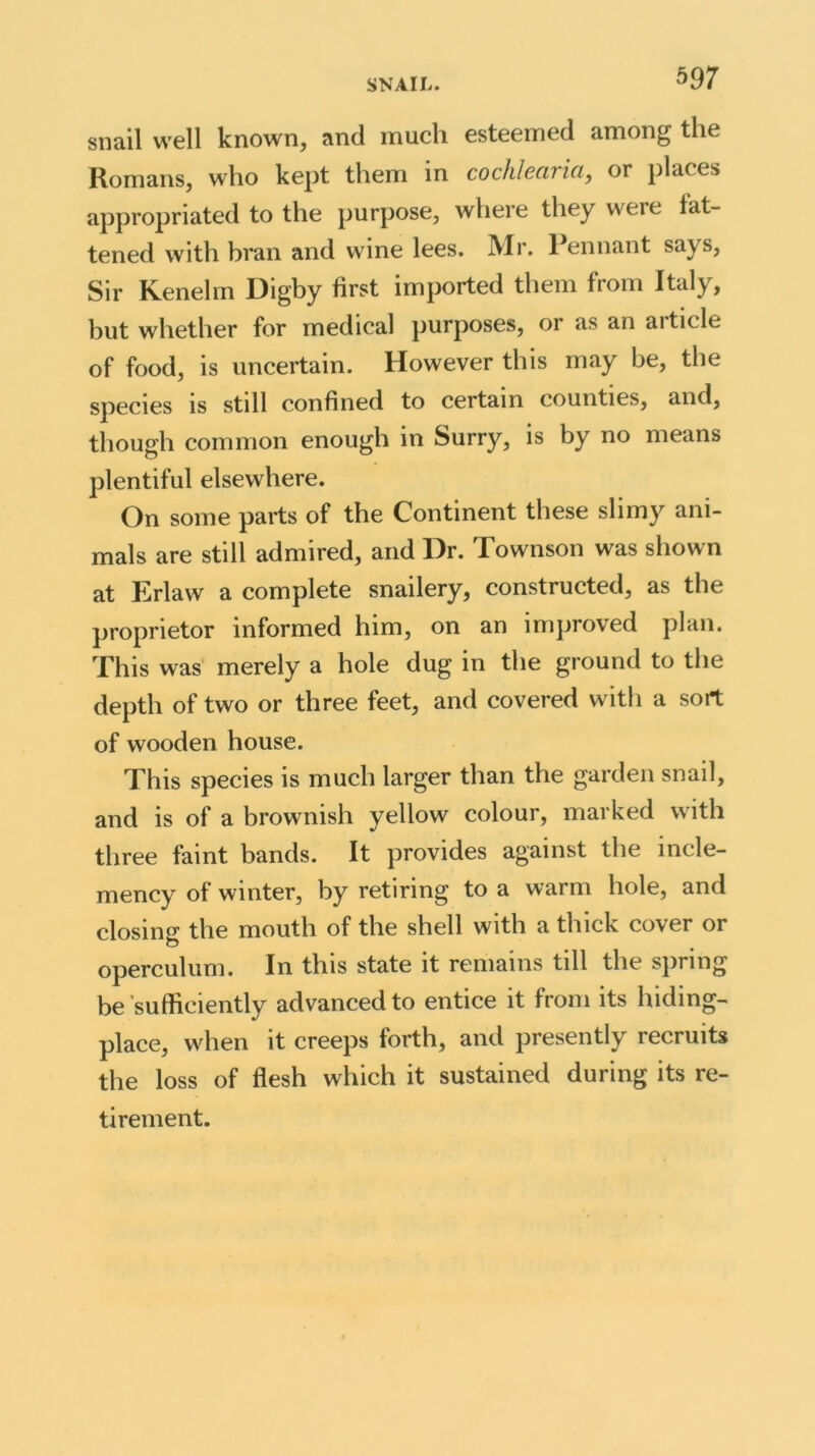 snail well known, and much esteemed among the Romans, who kept them in cochlearia, or places appropriated to the purpose, where they were fat- tened with bran and wine lees. Mr. Pennant says, Sir Kenelm Digby first imported them from Italy, but whether for medical purposes, or as an article of food, is uncertain. However this may be, the species is still confined to certain counties, and, though common enough in Surry, is by no means plentiful elsewhere. On some parts of the Continent these slimy ani- mals are still admired, and Dr. Townson was shown at Erlaw a complete snailery, constructed, as the proprietor informed him, on an improved plan. This was merely a hole dug in the ground to the depth of two or three feet, and covered with a sort of wooden house. This species is much larger than the garden snail, and is of a brownish yellow colour, marked with three faint bands. It provides against the incle- mency of winter, by retiring to a warm hole, and closing the mouth of the shell with a thick cover or operculum. In this state it remains till the spring be sufficiently advanced to entice it from its hiding- place, when it creeps forth, and presently recruits the loss of flesh which it sustained during its re- tirement.