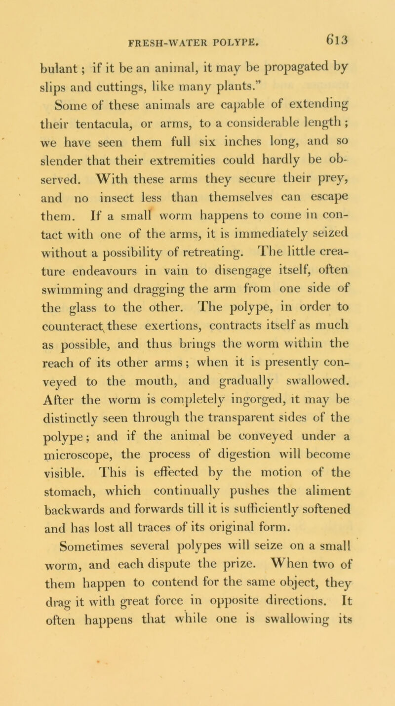 bulant; if it be an animal, it may be propagated by slips and cuttings, like many plants.” Some of these animals are capable of extending their tentacula, or arms, to a considerable length ; we have seen them full six inches long, and so slender that their extremities could hardly be ob- served. With these arms they secure their prey, and no insect less than themselves can escape them. If a small worm happens to come in con- tact with one of the arms, it is immediately seized without a possibility of retreating. The little crea- ture endeavours in vain to disengage itself, often swimming and dragging the arm from one side of the glass to the other. The polype, in order to counteract, these exertions, contracts itself as much as possible, and thus brings the worm within the reach of its other arms; when it is presently con- veyed to the mouth, and gradually swallowed. After the worm is completely ingorged, it may be distinctly seen through the transparent sides of the polype; and if the animal be conveyed under a microscope, the process of digestion will become visible. This is effected by the motion of the stomach, which continually pushes the aliment backwards and forwards till it is sufficiently softened and has lost all traces of its original form. Sometimes several polypes will seize on a small worm, and each dispute the prize. When two of them happen to contend for the same object, they drag it with great force in opposite directions. It often happens that while one is swallowing its